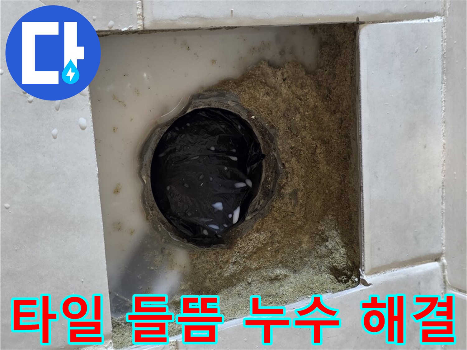 과천 문원동 욕실 하수구 주변 타일 들뜸 누수 - 들뜬 타일 틈새의 물기, 꼼꼼한 점검과 완벽한 해결