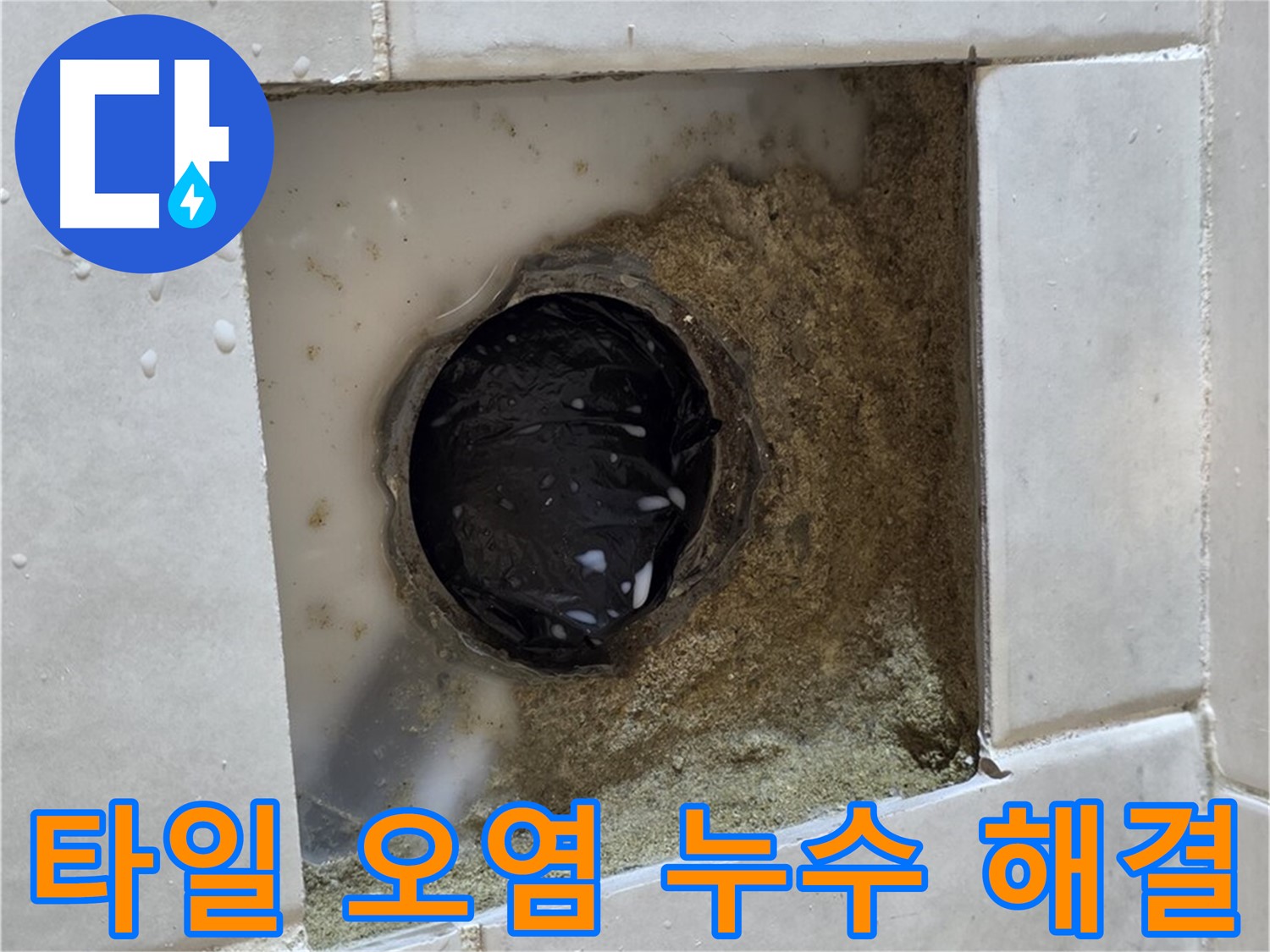 과천 문원동 욕실 하수구 주변 타일 오염 누수 - 더러워진 타일 틈새, 깨끗한 청소와 완벽한 방수