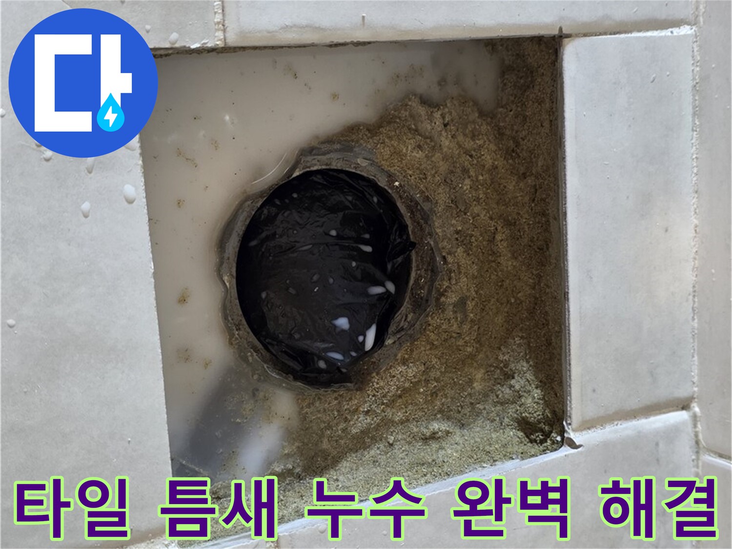 과천 문원동 욕실 하수구 주변 타일 틈새 누수 - 젖어있는 타일 틈새, 최고의 기술력으로 확실하게 해결