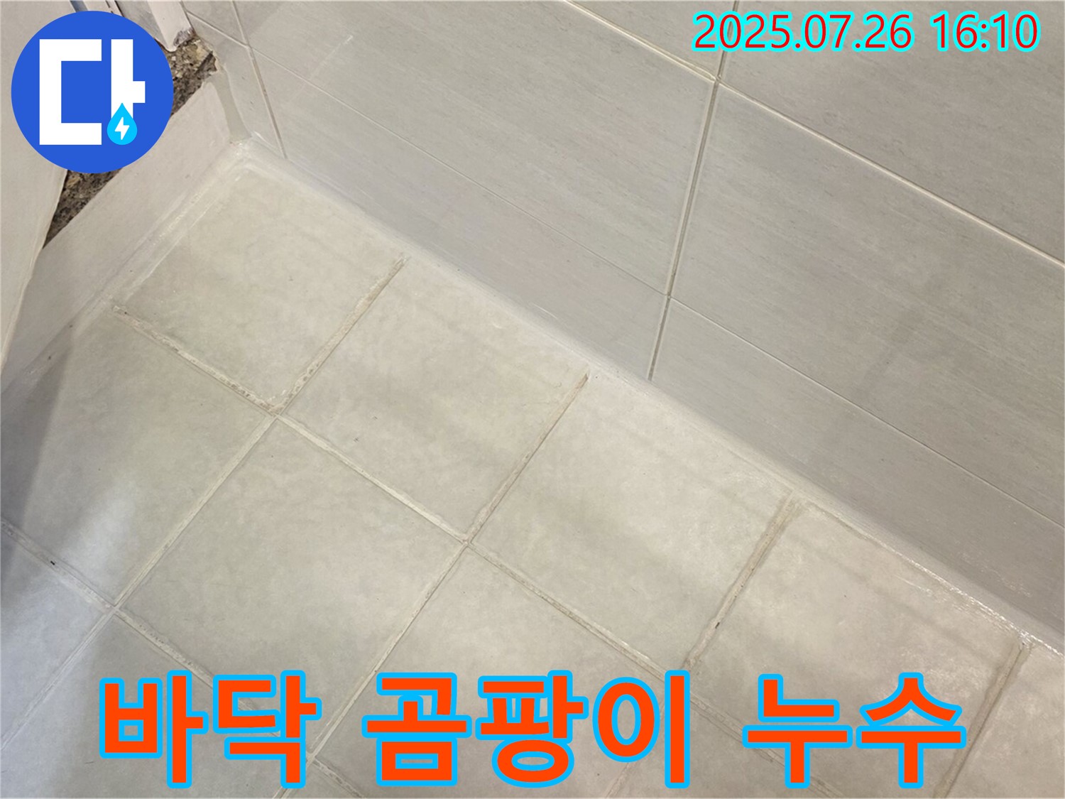 과천 욕실 바닥 곰팡이 누수 - 곰팡이 제거 및 방지 시공으로 해결!