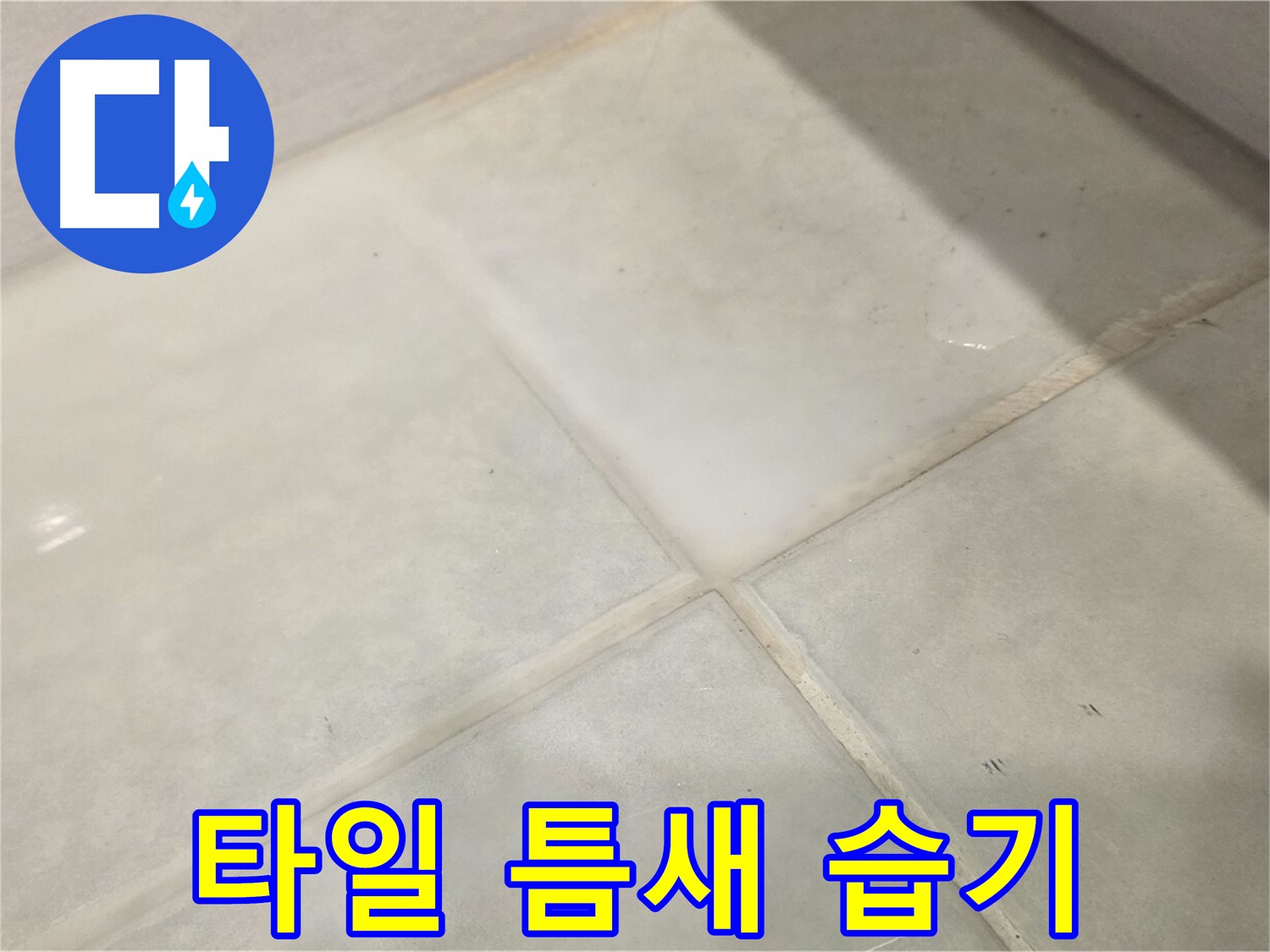 과천시 문원동 욕실 타일 틈새 습기 - 곰팡이 발생 전 긴급 점검 필요