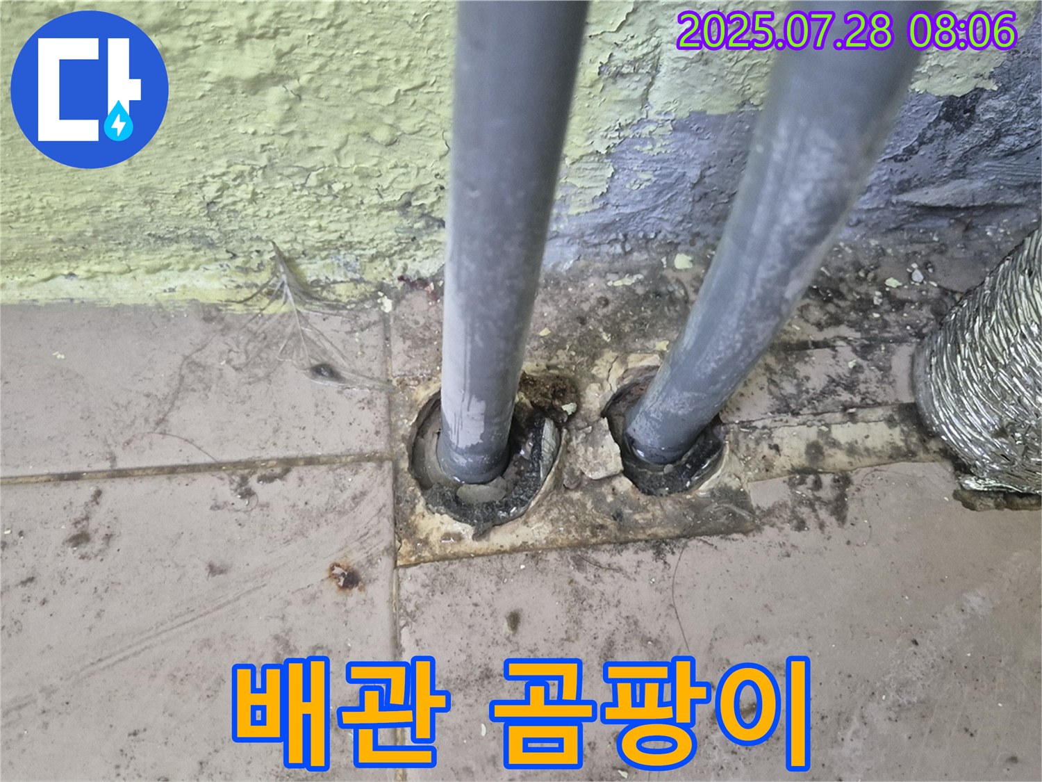 남양주 화도 - 2개의 배관 주변 곰팡이 발견 - 두산아파트 누수 긴급 진단 및 조치 필요