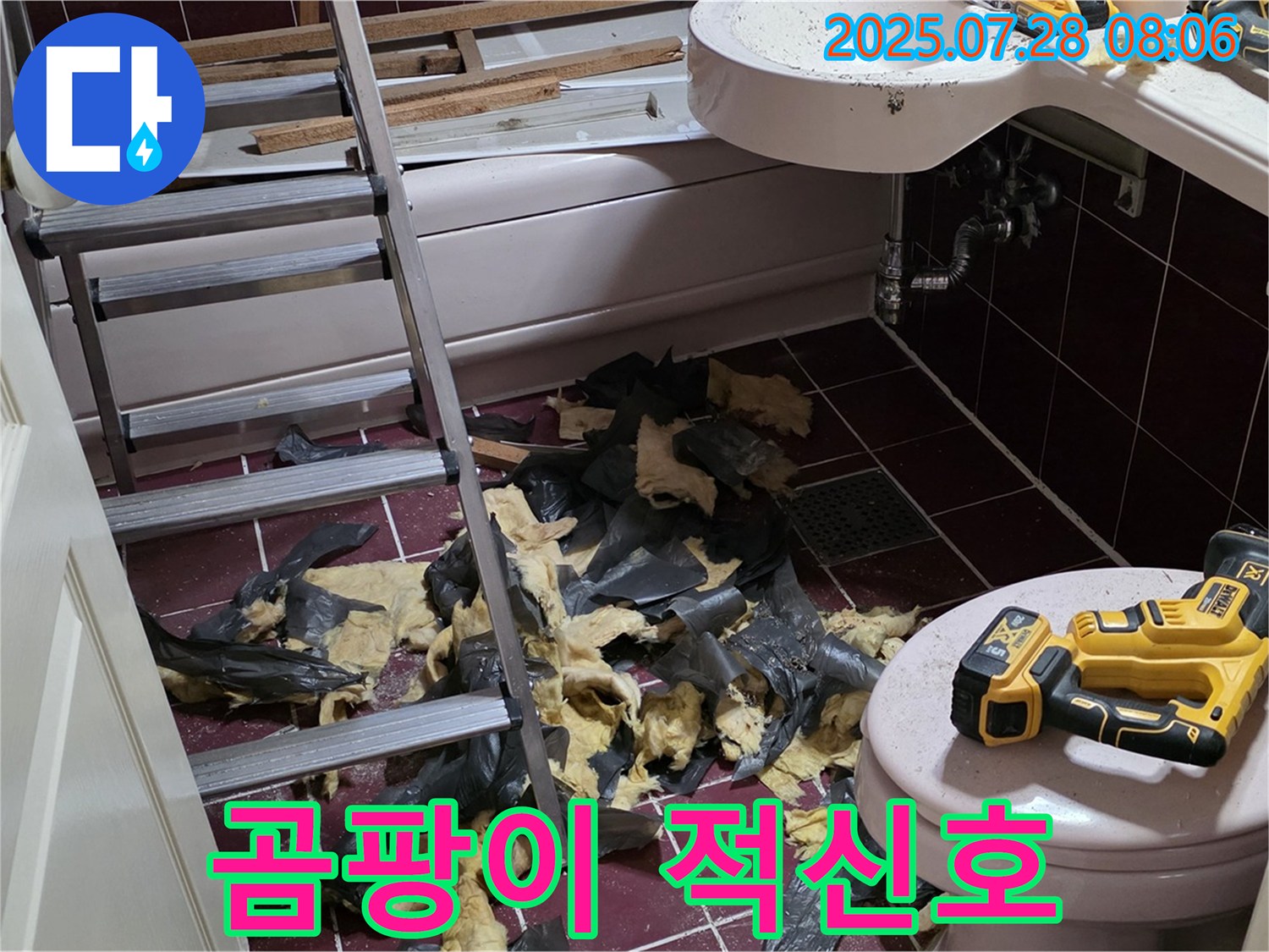 남양주 화도 (구)두산아파트 욕실 누수 - 철거 후 곰팡이 발견, 건강에 적신호!