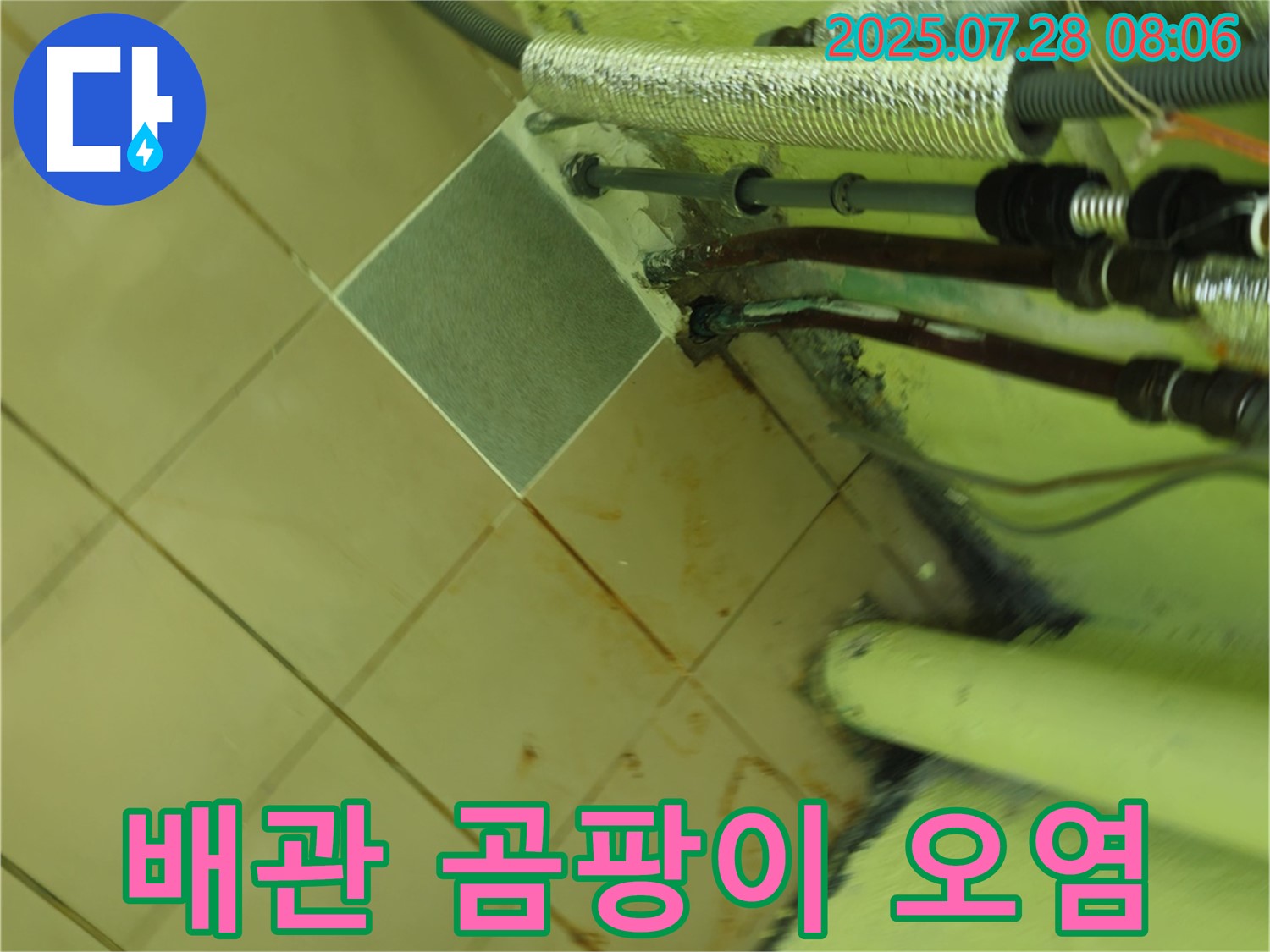 남양주 화도 창현 두산아파트 누수 - 배관 주변 곰팡이는 누수 지속으로 인한 실내 공기 오염이 심각함을 나타냅니다.