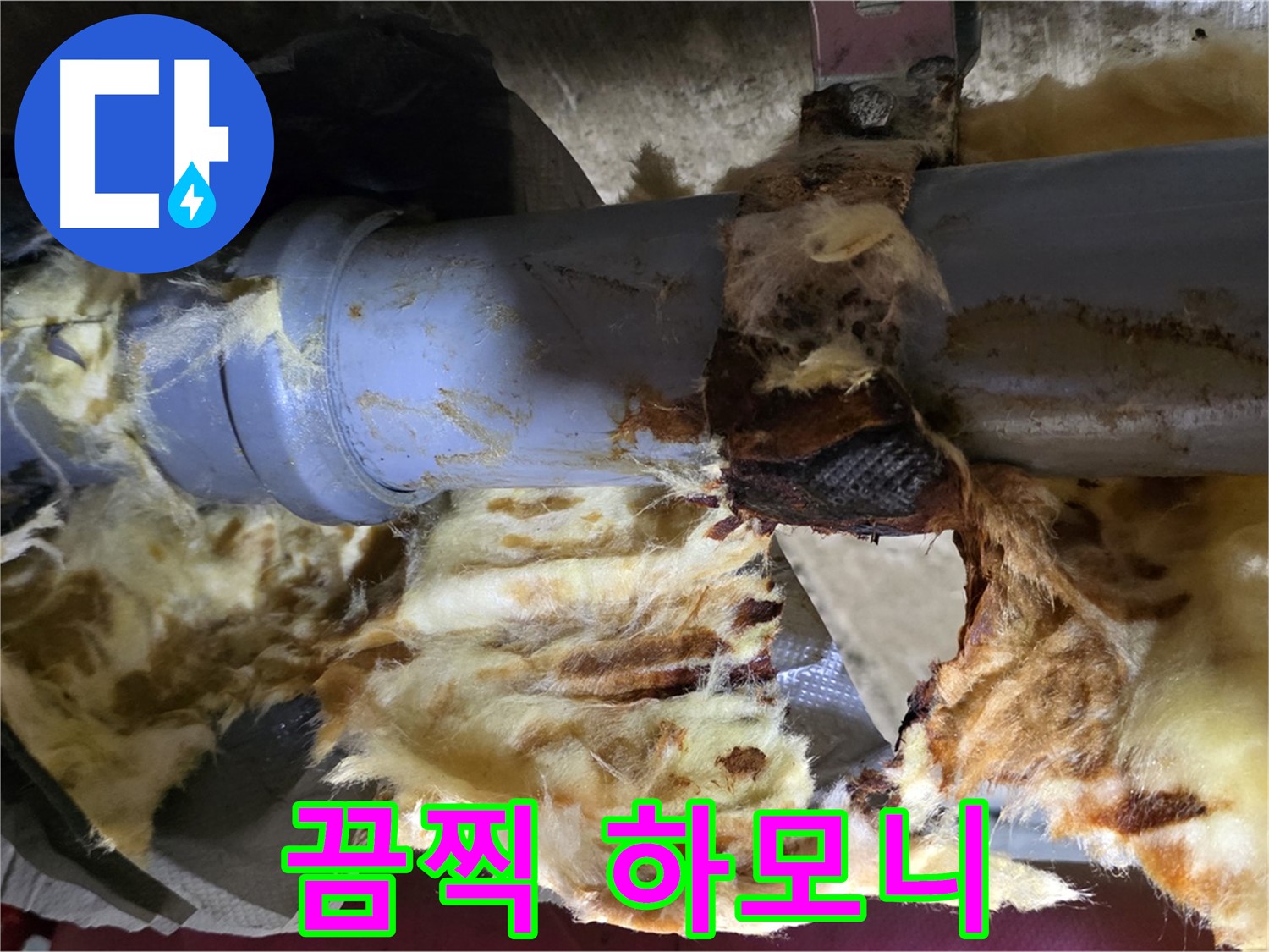 남양주 화도읍 두산아파트 누수 - 낡은 배관에서 누수가 발생하고 곰팡이가 피어난 끔찍한 하모니의 현장입니다.