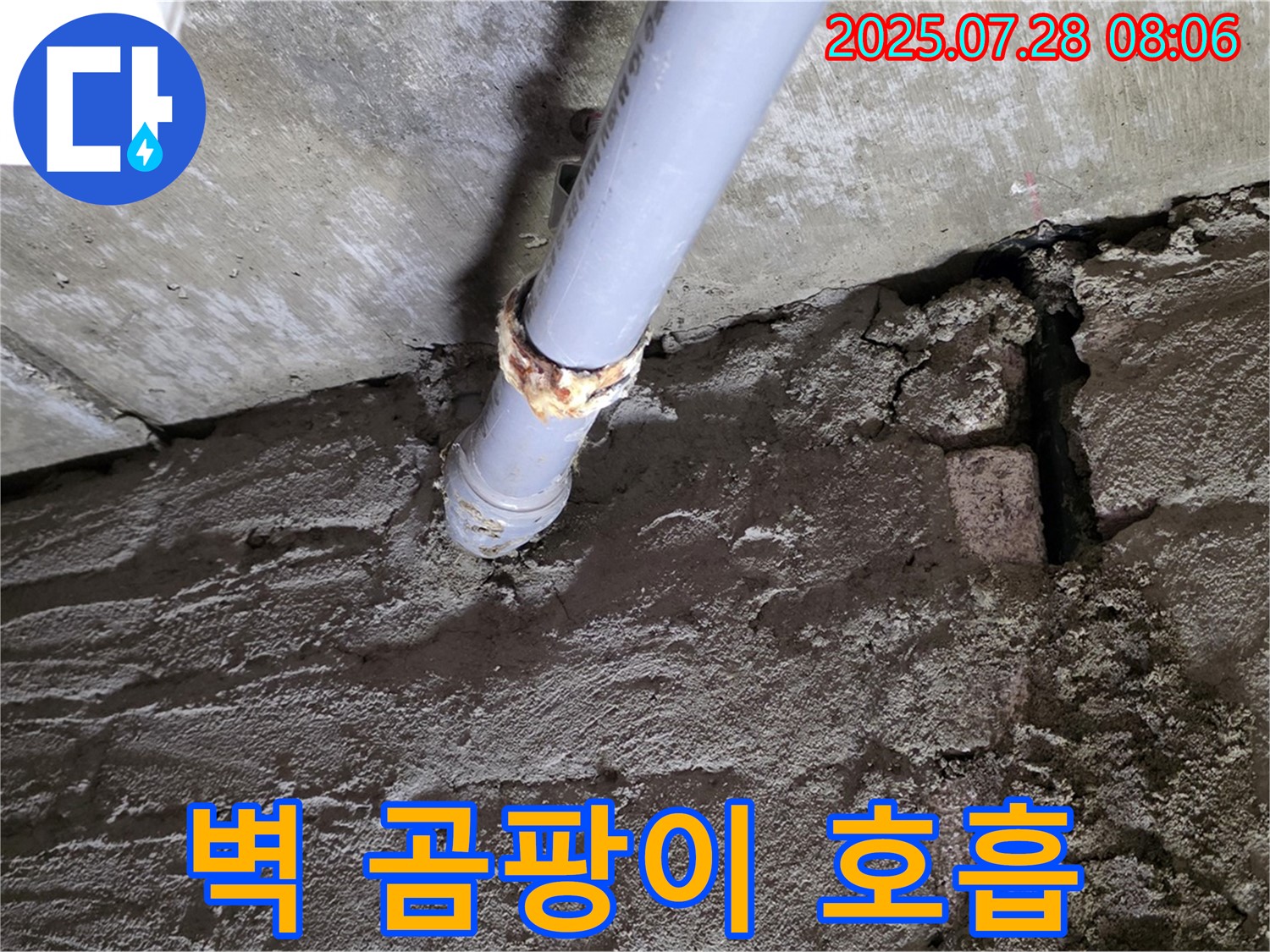 남양주 화도읍 두산아파트 누수 - 벽 물 스며 벽지 곰팡이 호흡 곤란