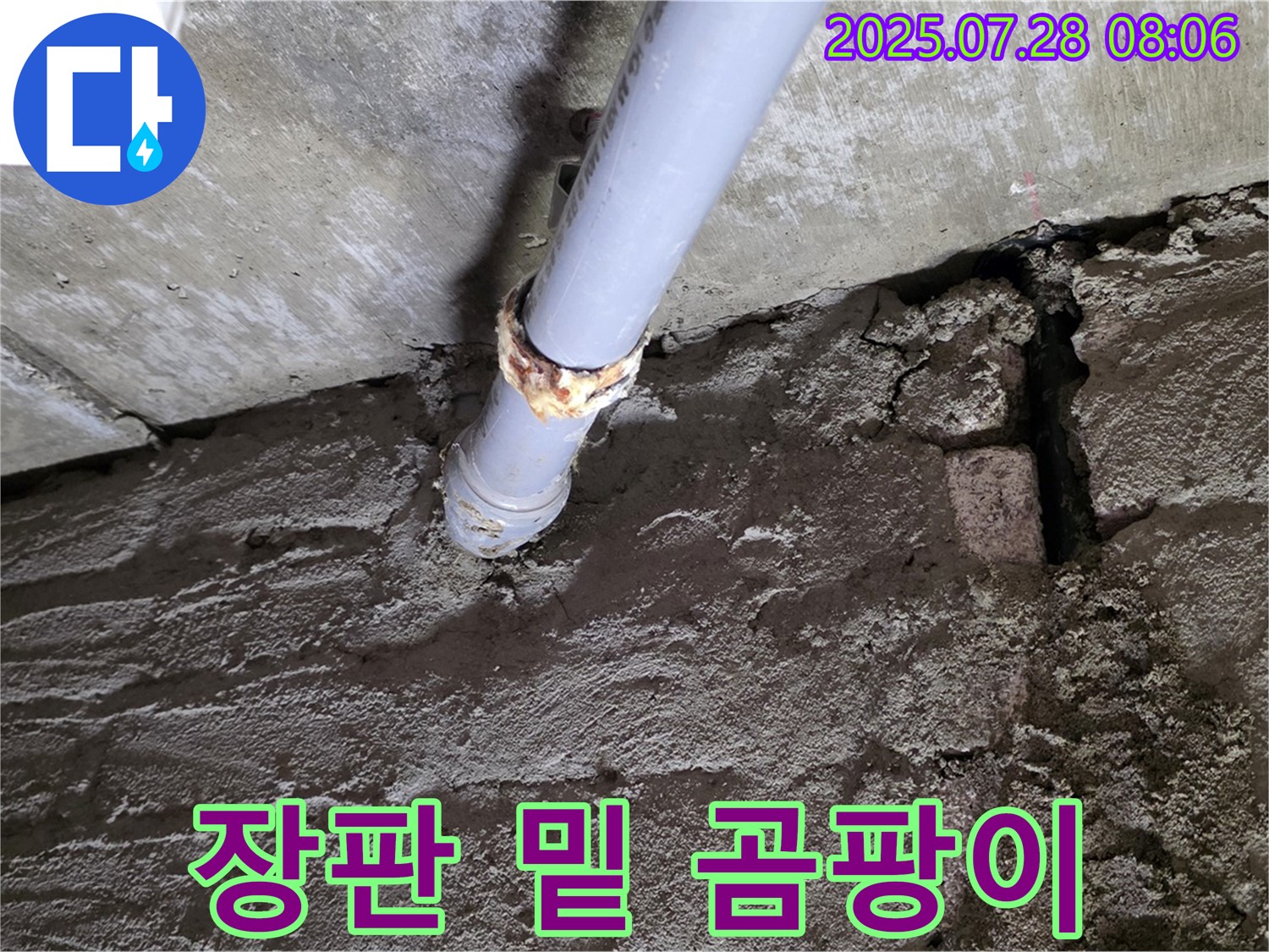 남양주 화도읍 두산아파트 누수 - 장판 밑에 곰팡이가 슬었다면 누수를 의심하세요!