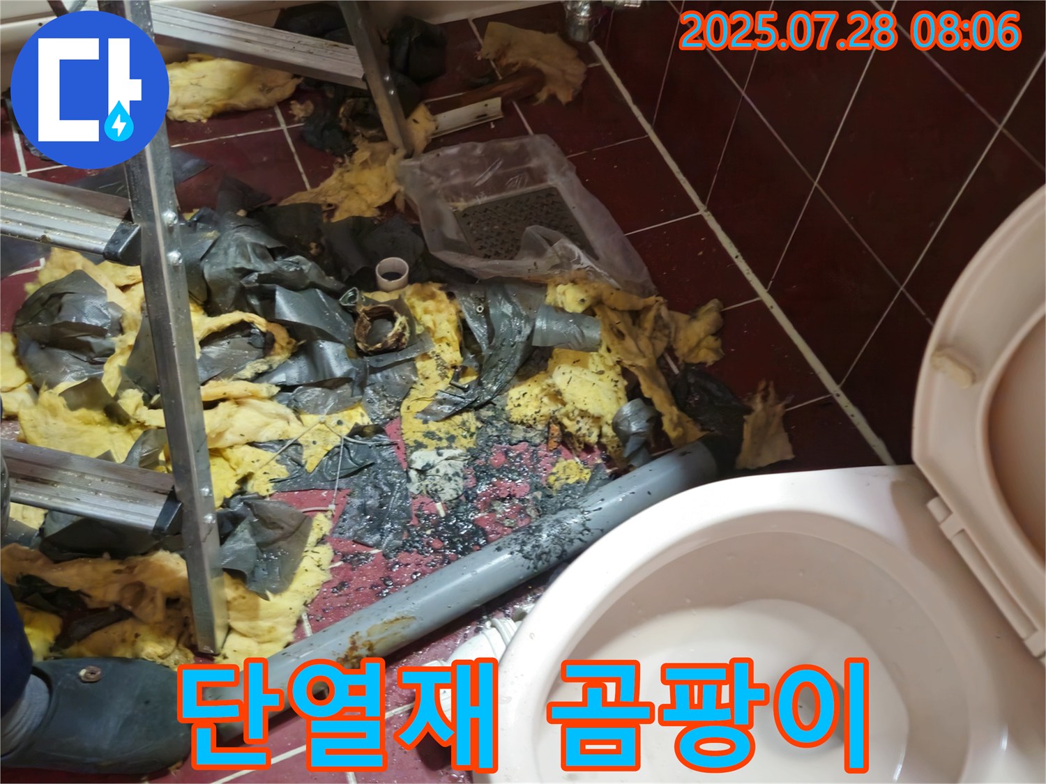 남양주 화도읍 창현리 두산아파트 화장실 누수 - 젖은 단열재, 곰팡이 번식 직전입니다!