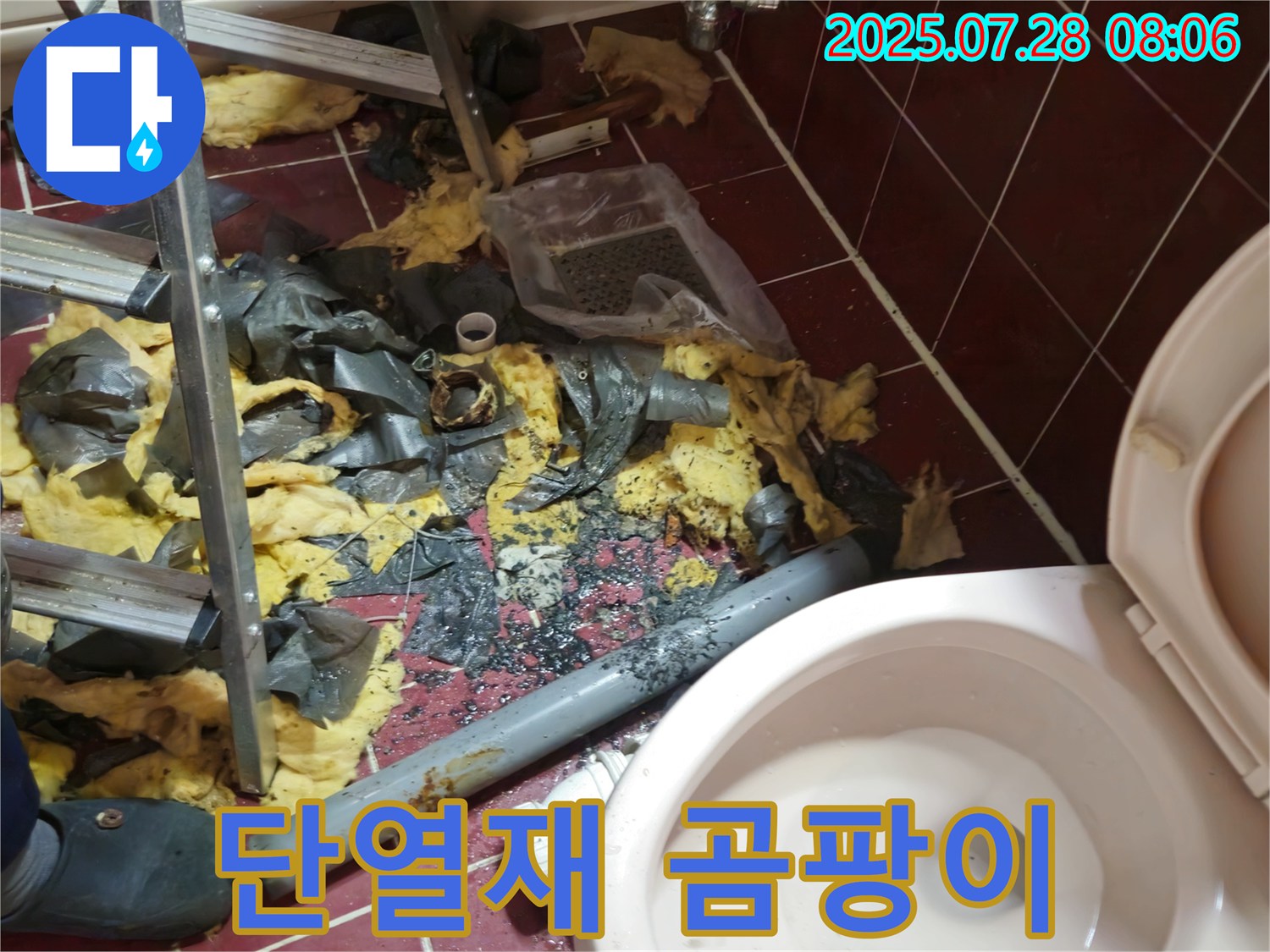 남양주 화도읍 창현리 두산아파트 화장실 누수 - 젖은 단열재, 곰팡이 포자가 곧 꿈틀거릴 것 같네요!