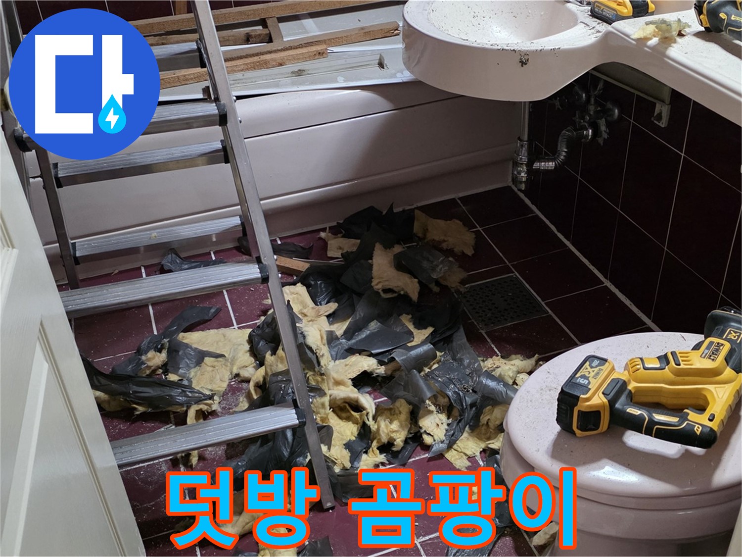 두산아파트 욕실 덧방 시공의 말로 - 철거 후 드러난 곰팡이 천국