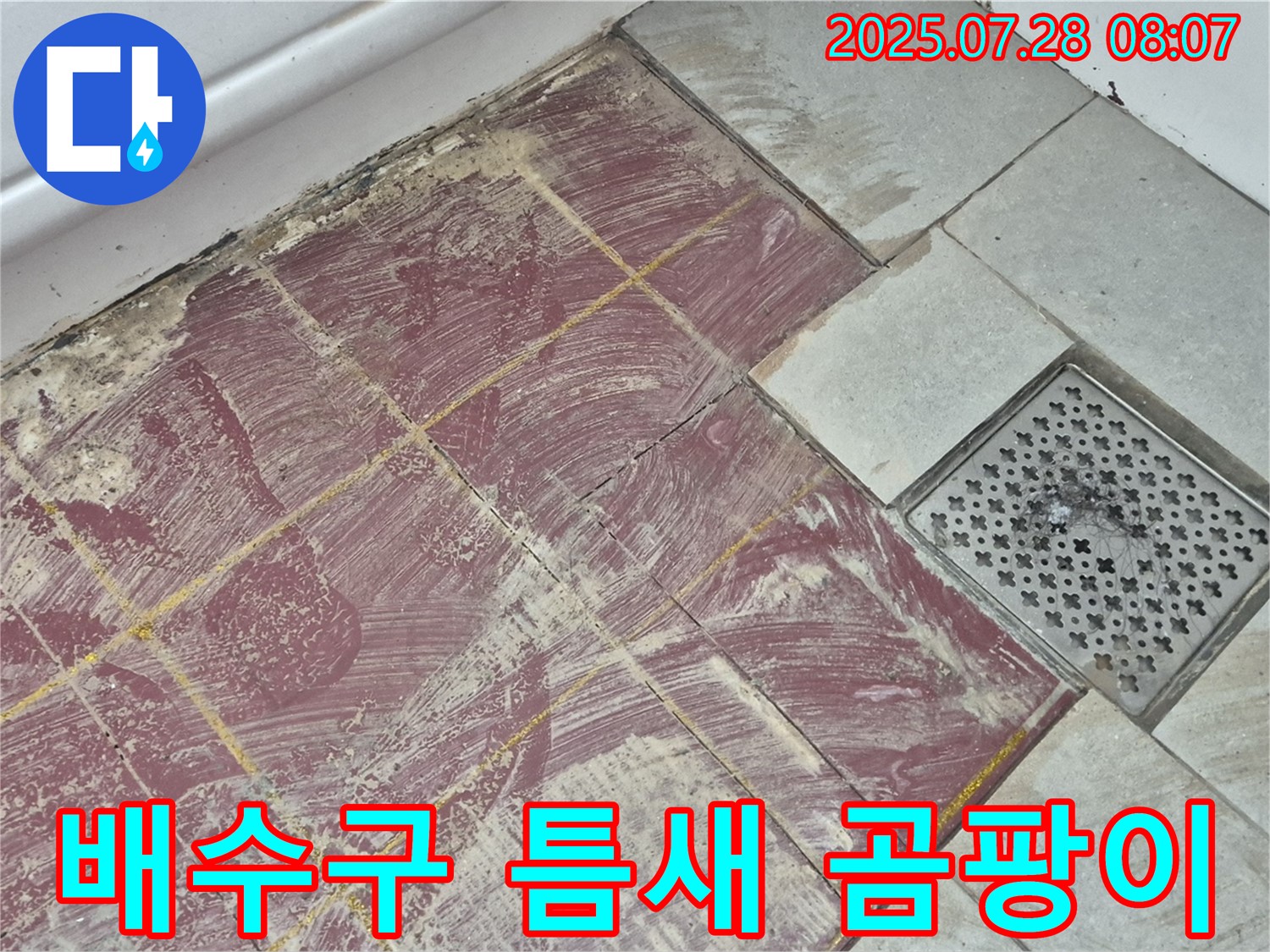 두산아파트 욕실 - 붉은 타일 부분 철거 후 드러난 배수구 주변의 틈새와 곰팡이