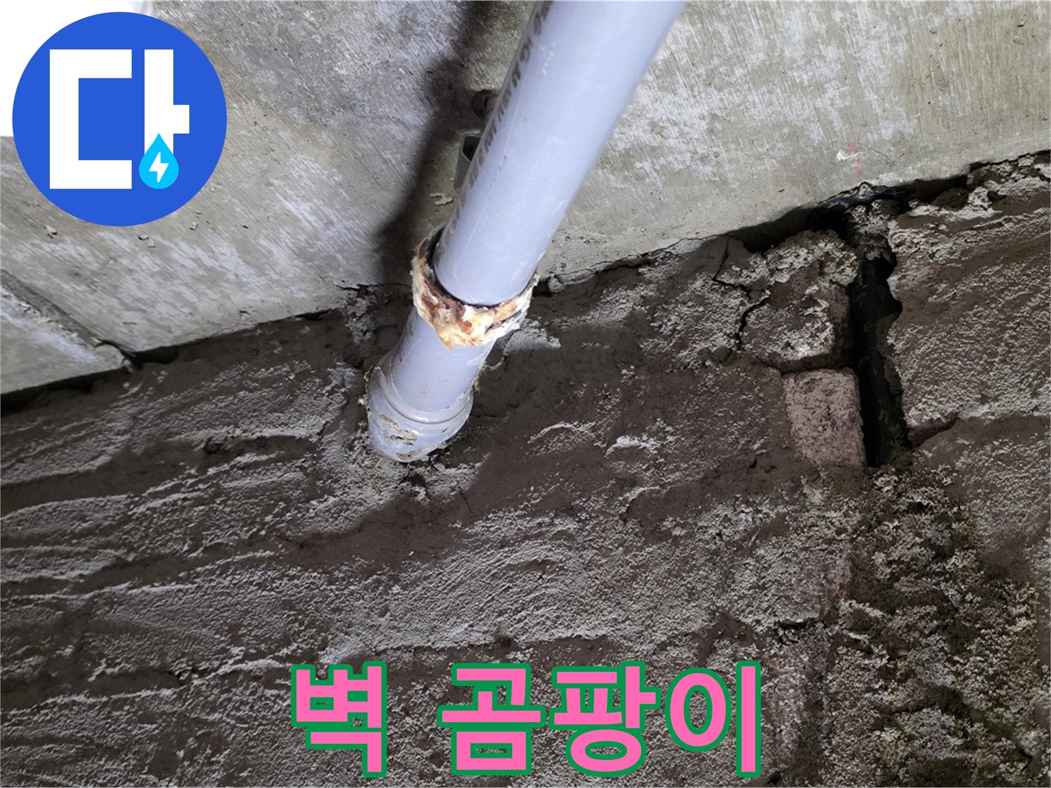 벽에 번지는 곰팡이 - 두산아파트 누수 해결