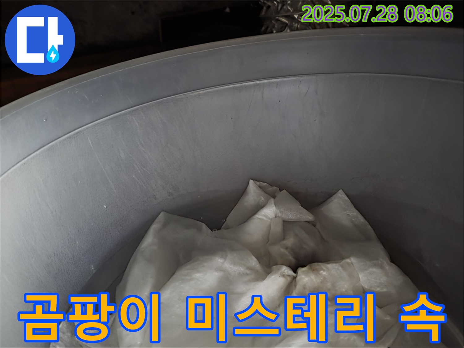 빗물 누수 - 양동이 속 젖은 휴지, 곰팡이 왕국 미스테리 속으로! 이제 전문가가 미스테리를 풉니다.