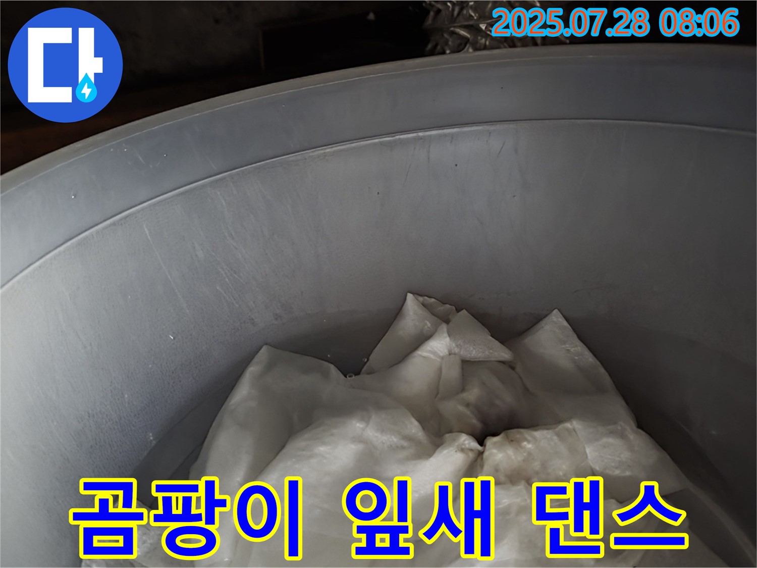 천장 누수 - 양동이 속 젖은 휴지, 곰팡이 왕국 마지막 잎새 댄스! 이제 전문가가 댄스 파티를 끝내드립니다.