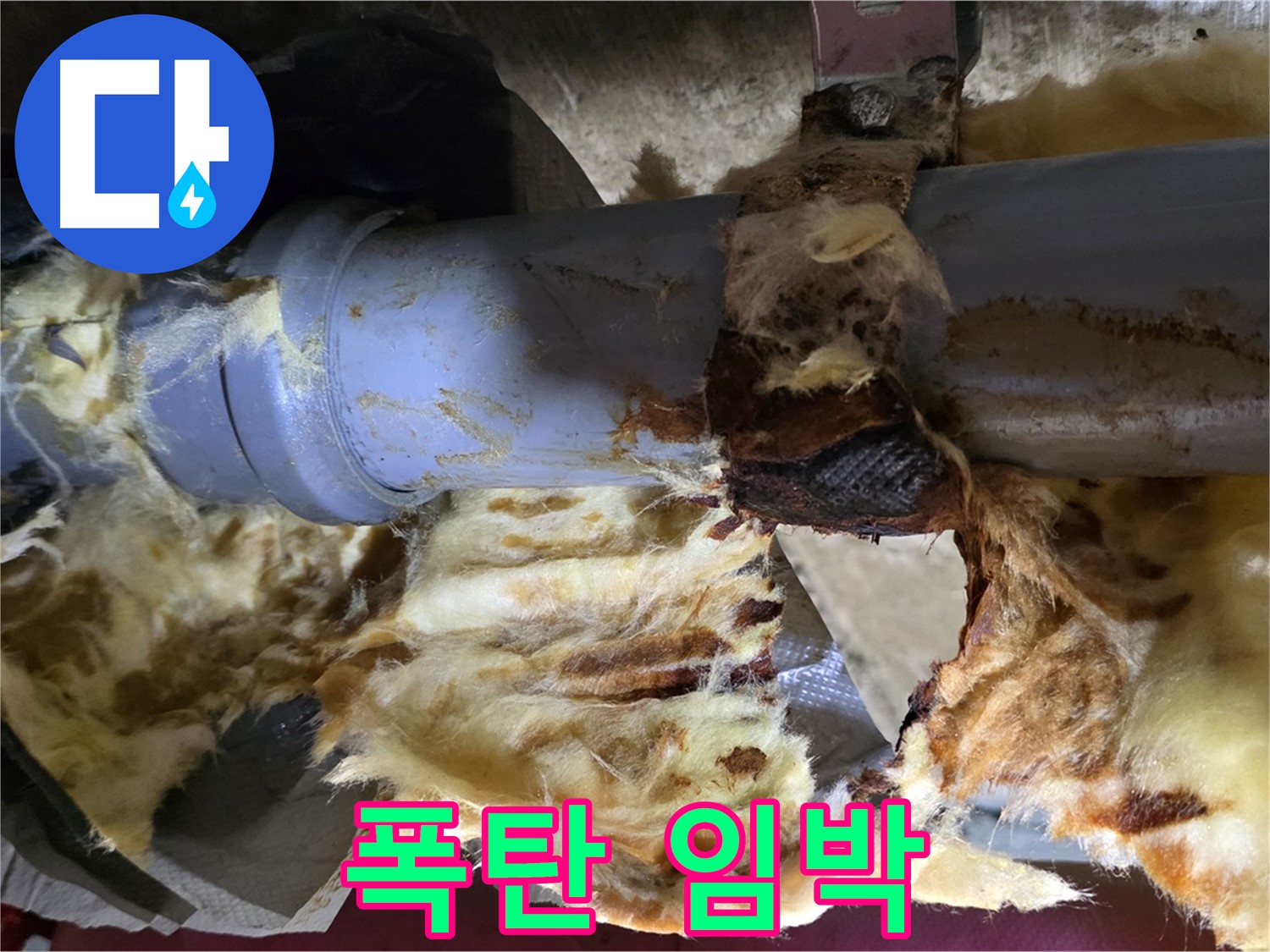 화도읍 두산아파트 누수 - 배관 연결 부위에서 누수가 발생하여 주변에 곰팡이 폭탄이 발사되기 직전입니다.