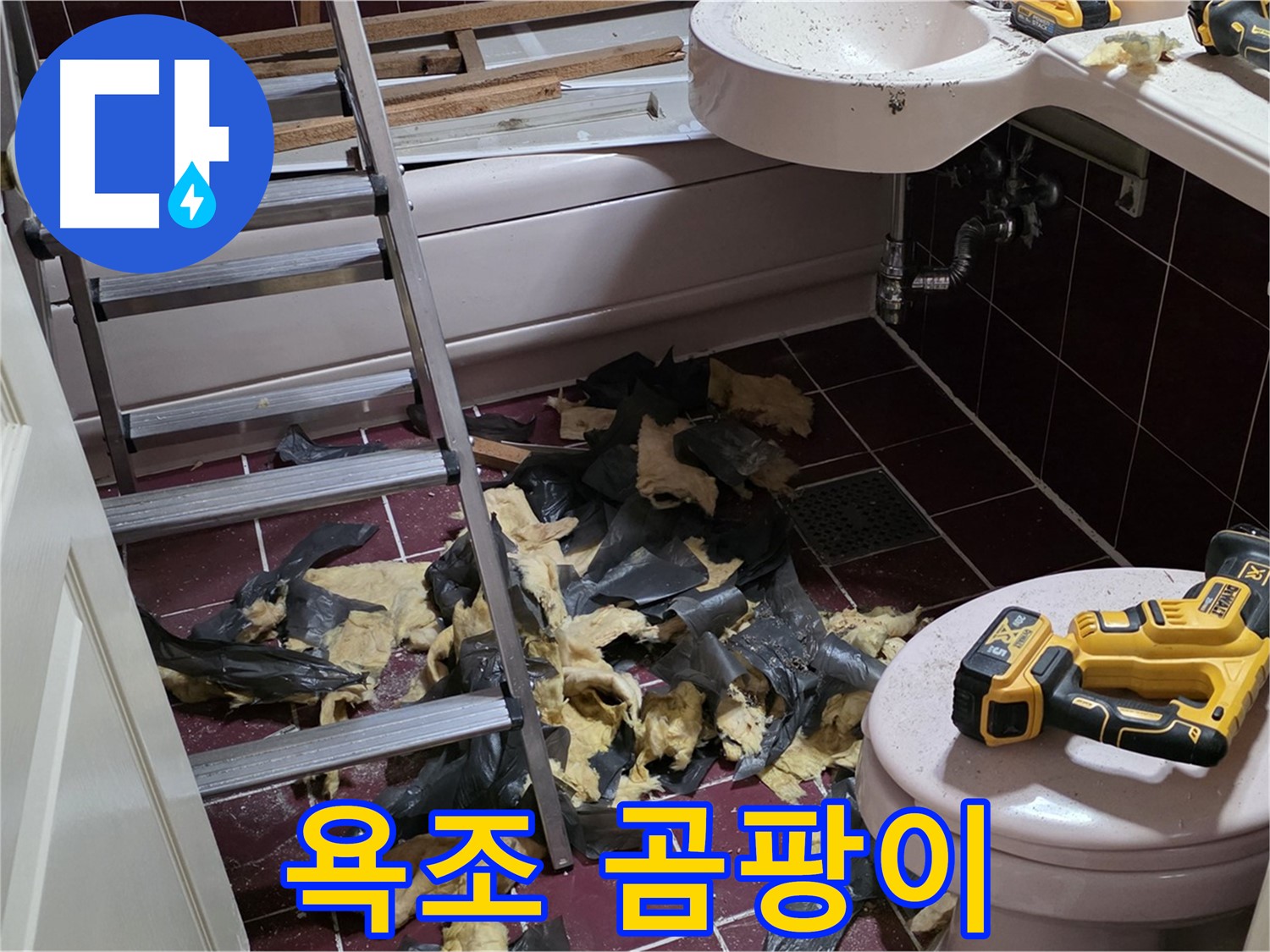 화도읍 두산아파트 욕실 낡은 욕조 철거 후 곰팡이 세상과 조우