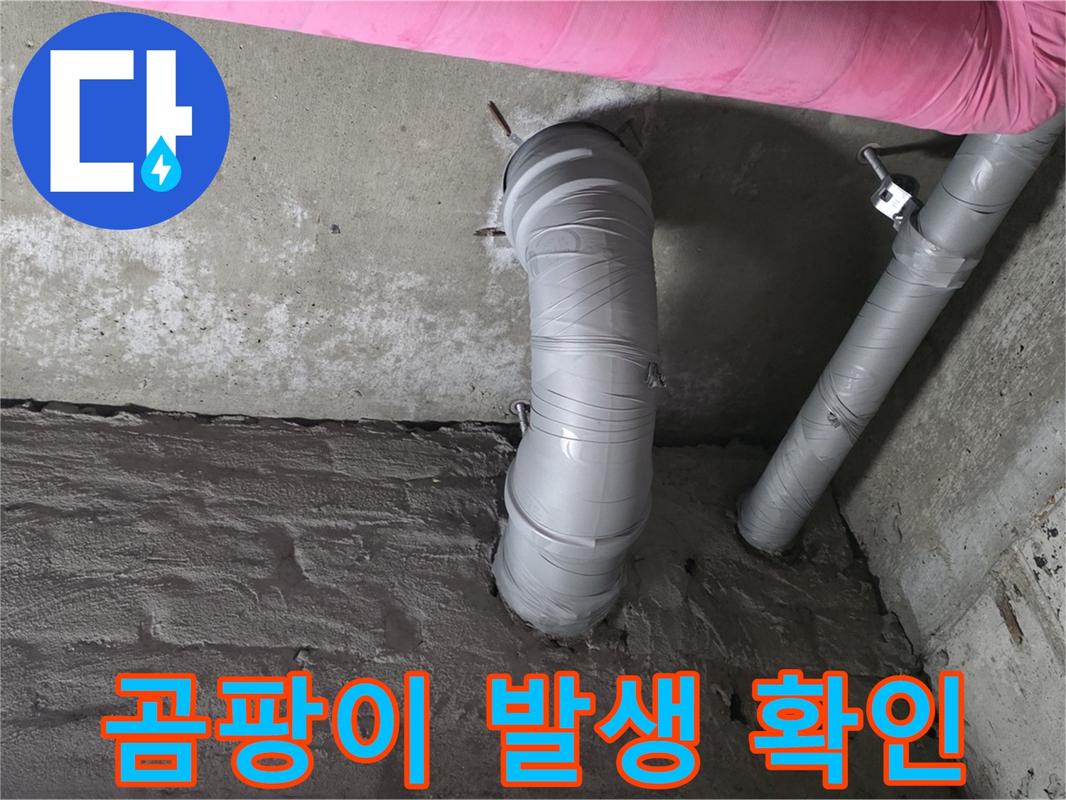화도읍 아파트 배수관 주변 곰팡이 발생 여부 확인 사진