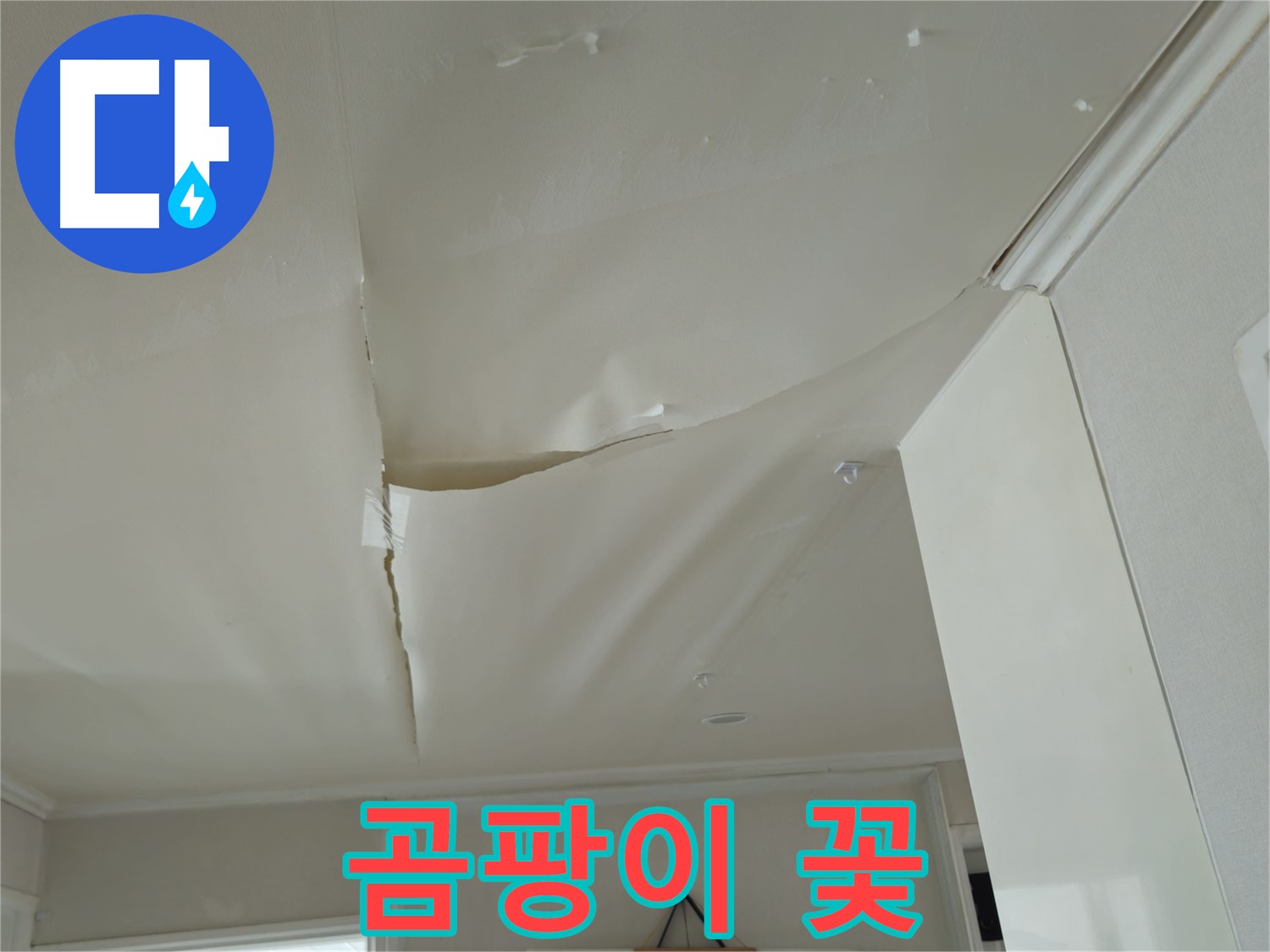 화도읍 창현리 두산아파트 천장 누수 - 곰팡이 꽃, 건강 비상!