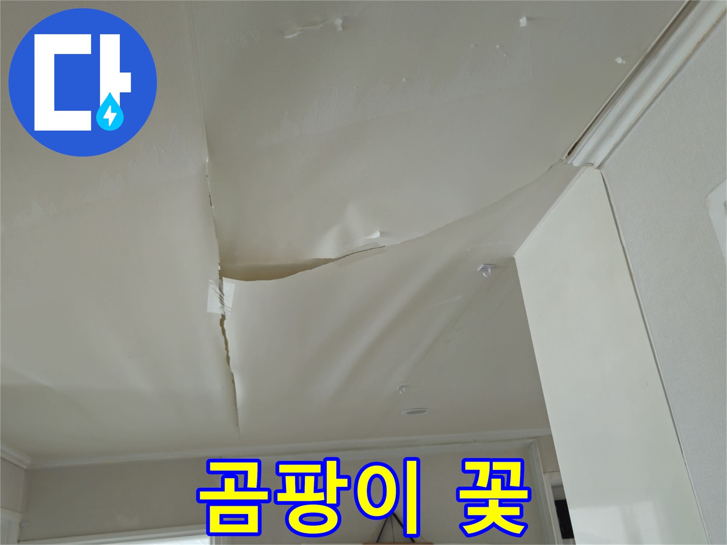화도읍 창현리 두산아파트 천장 누수 - 곰팡이 꽃, 건강 비상!