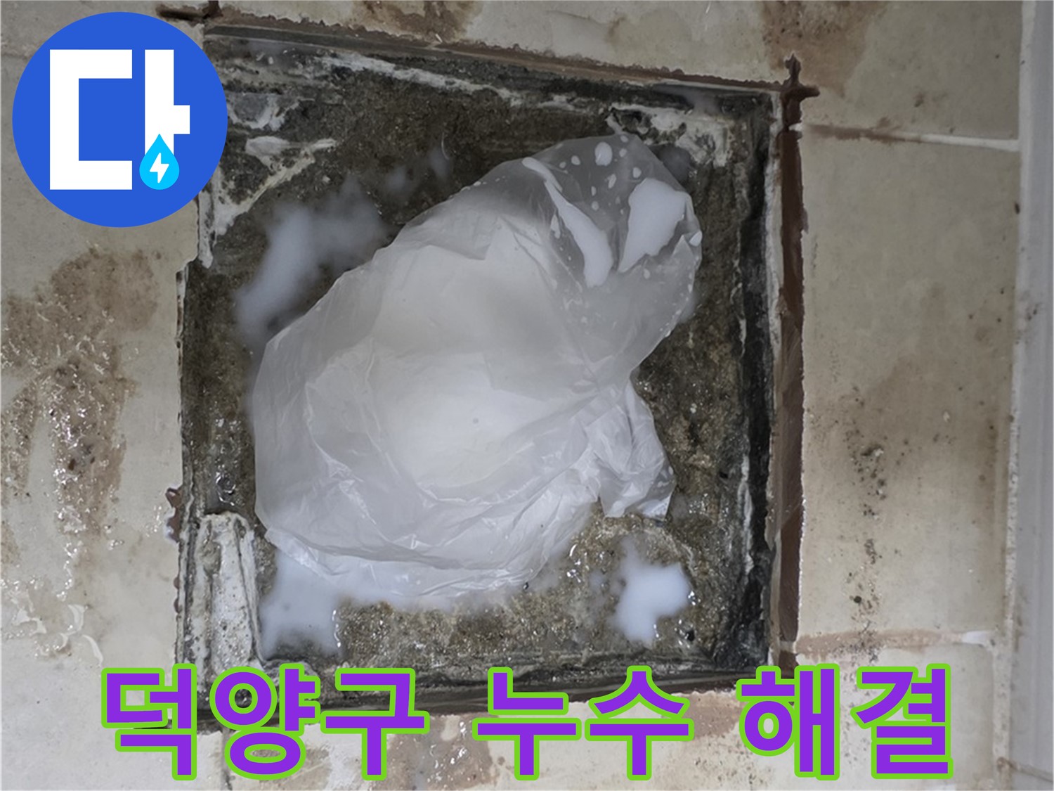 화장실 변기 유가 벽 바닥 누수 해결 및 방수 공사 - 맞춤형 시공 및 재발 방지