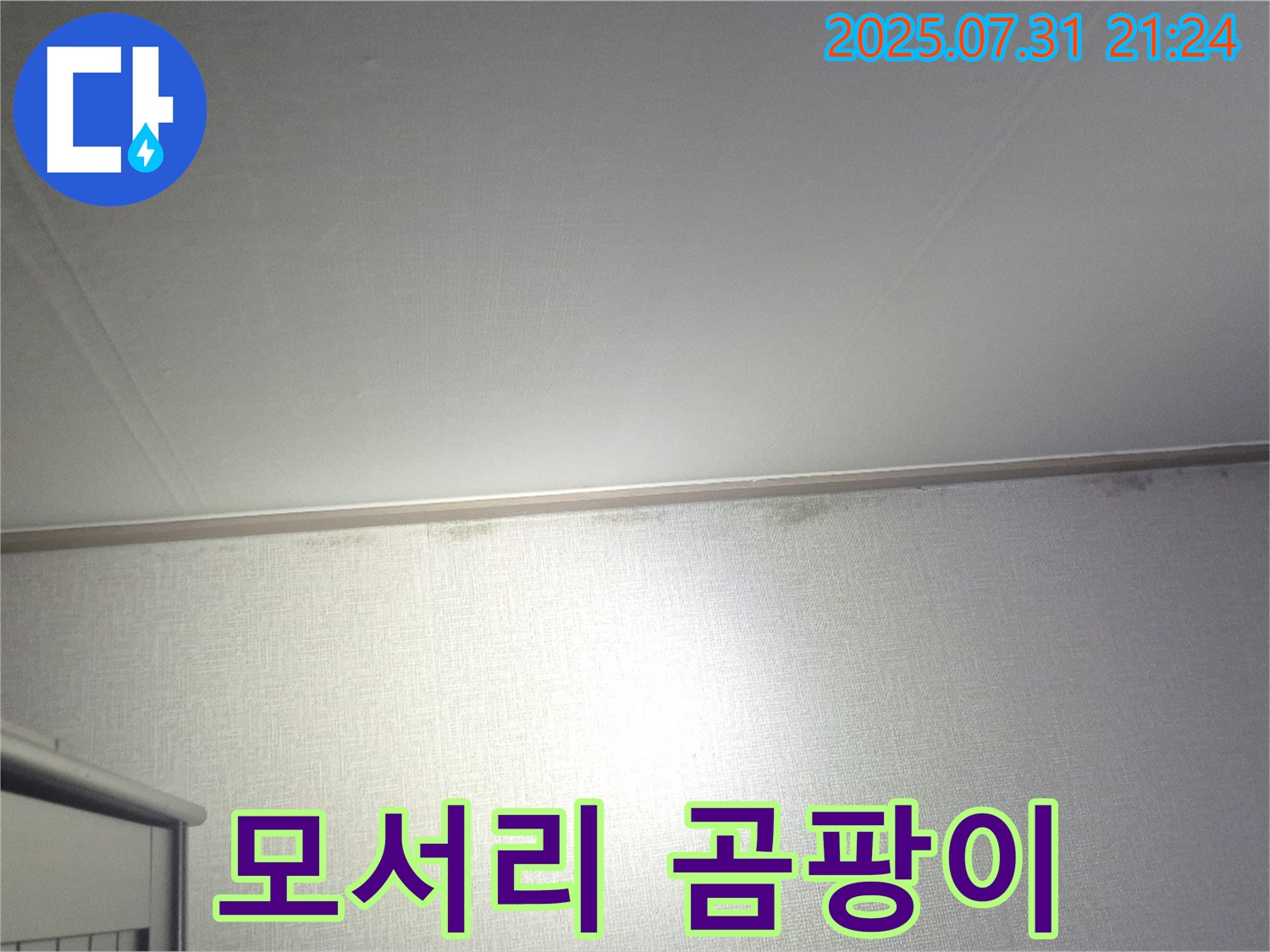 고양시 덕양구 벽 모서리 곰팡이 - 꼼꼼한 진단과 맞춤 시공으로 해결