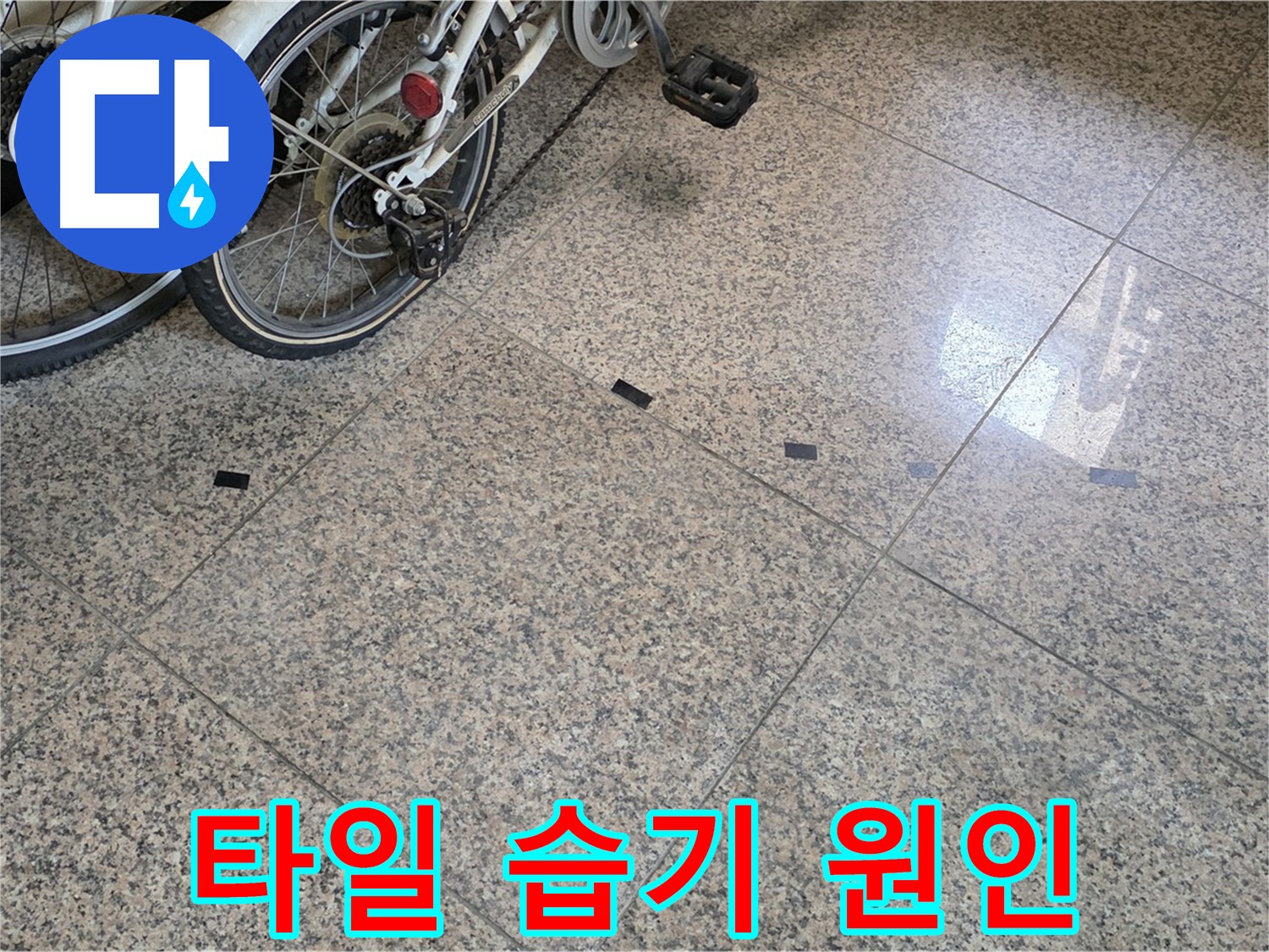 동산동 아파트 누수 - 대리석 타일 습기, 누수 원인 분석