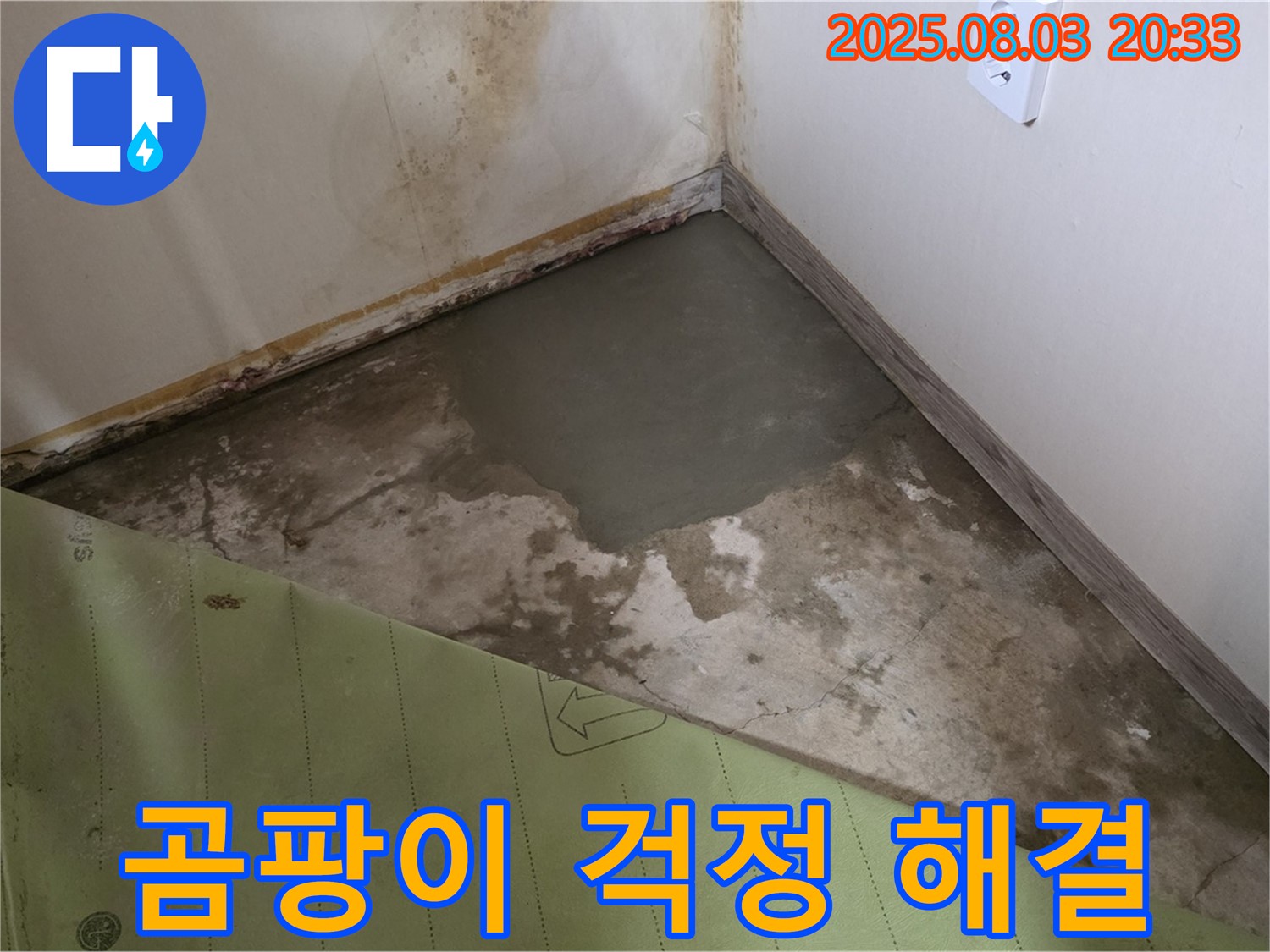 곰팡이 걱정 이제 그만 - 벽 누수 완벽 해결 서비스 제공