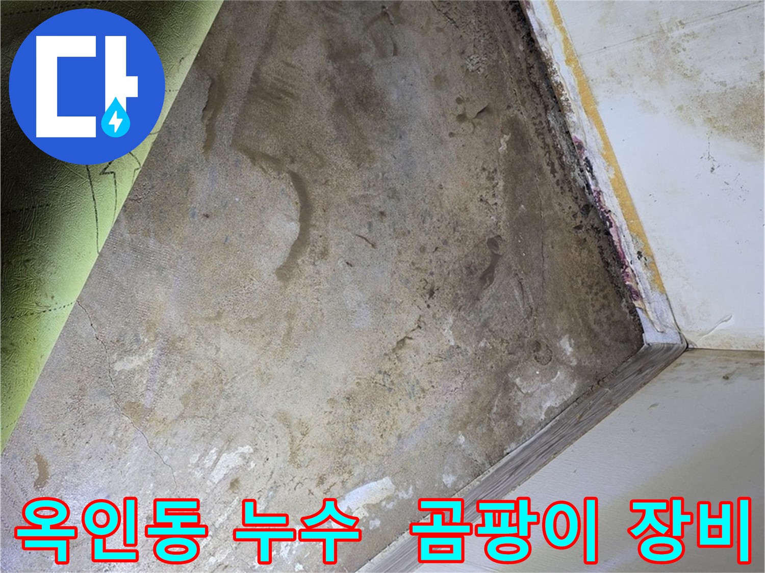 장판 밑 곰팡이 - 옥인동 곰팡이 제거 장비 준비