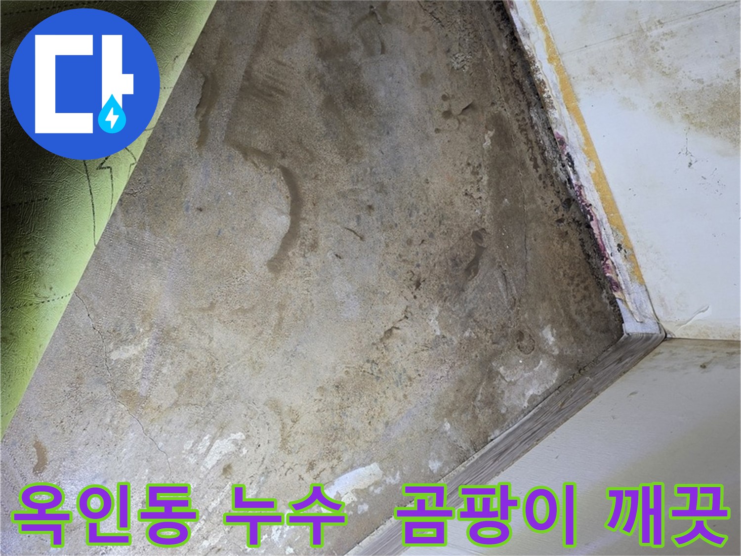 장판 밑 곰팡이 - 옥인동 곰팡이 제거 후 깨끗한 환경 조성