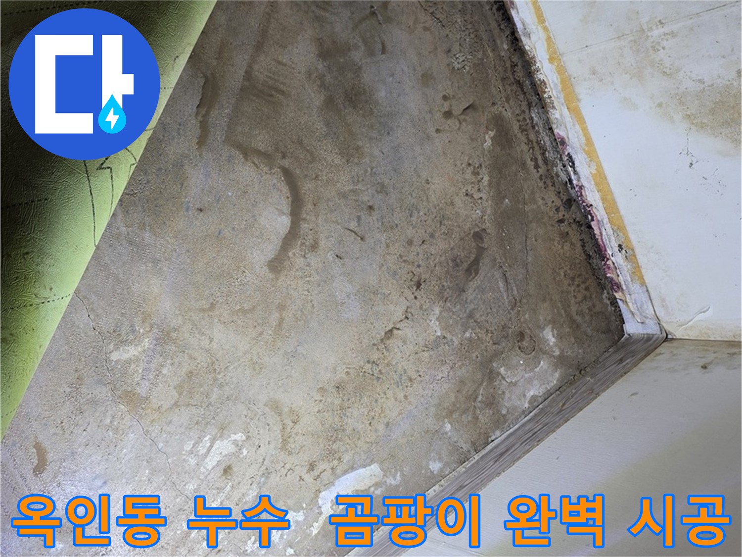 장판 밑 곰팡이 - 옥인동 완벽한 시공으로 고객 만족