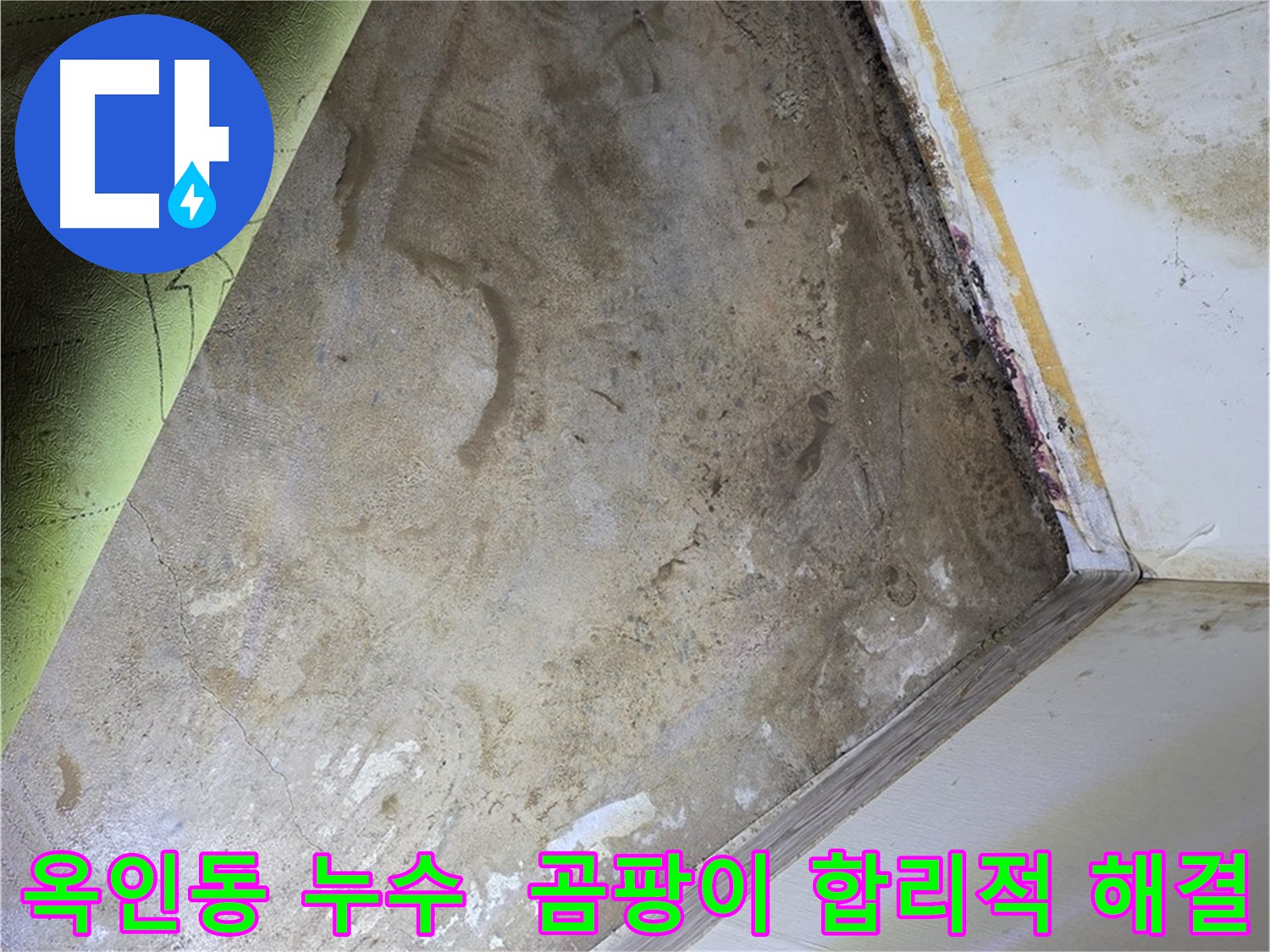 장판 밑 곰팡이 - 옥인동 합리적인 가격으로 해결