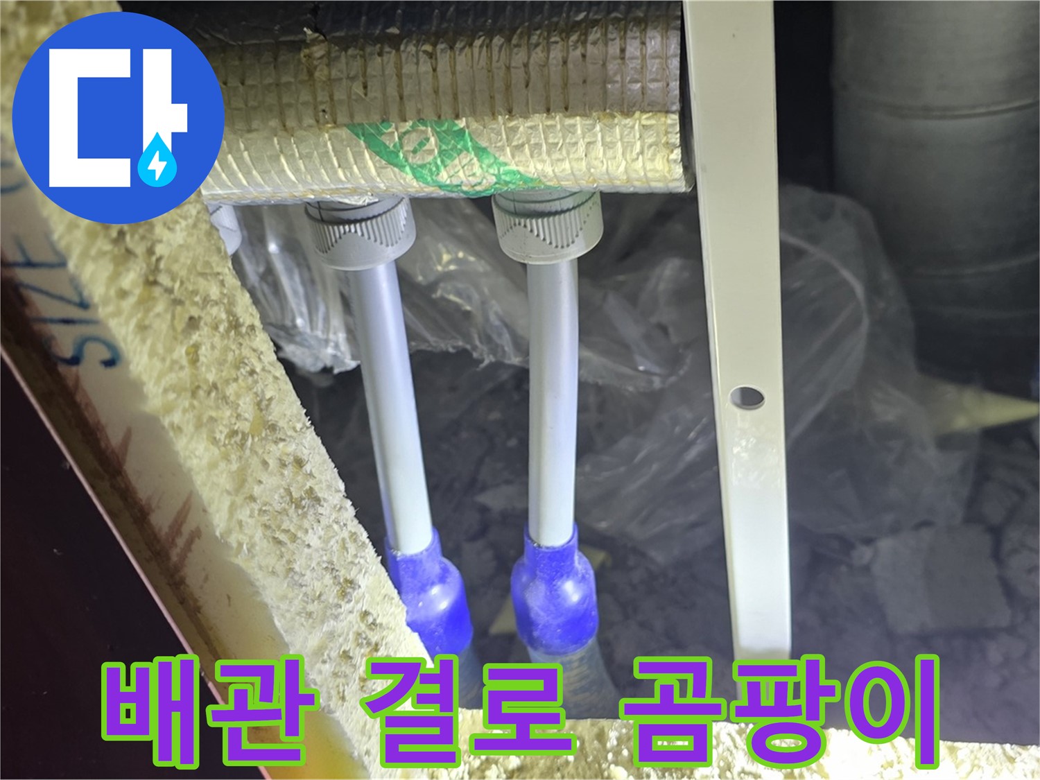 삼숭동 누수 예방 - 배관 주변 결로 발생 및 곰팡이 서식 환경 사전 진단 꼼꼼하게 진행