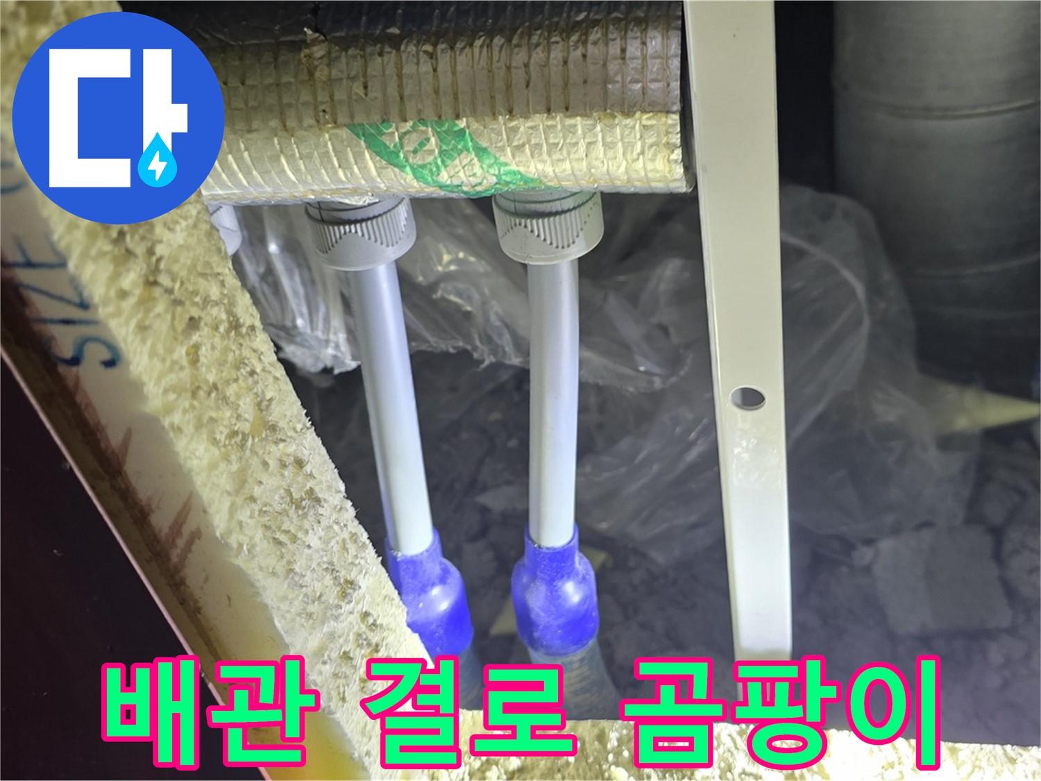 삼숭동 누수 예방 - 배관 주변 결로 발생 및 곰팡이 성장 가능성 사전 진단 진행