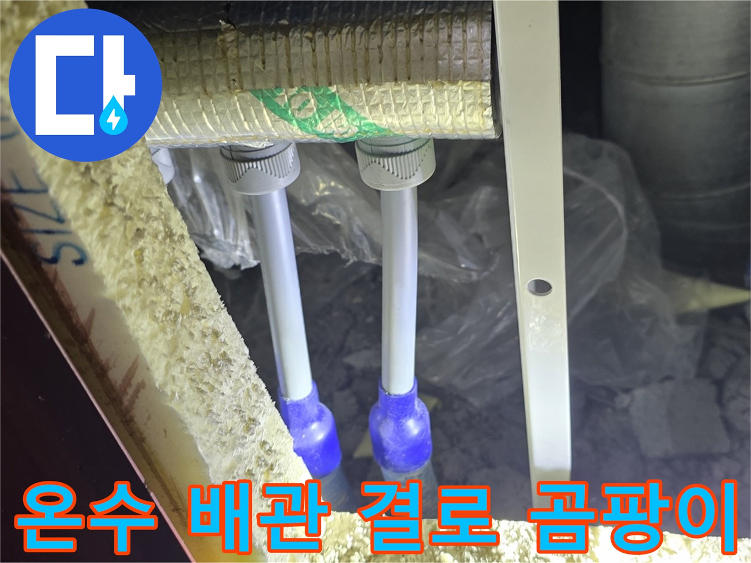 삼숭동 누수 예방 - 온수 배관 주변 결로 발생 및 곰팡이 성장 가능성 사전 점검