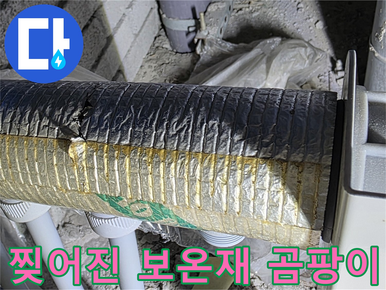 삼숭동 누수 - 찢어진 배관 보온재, 곰팡이 서식 위험
