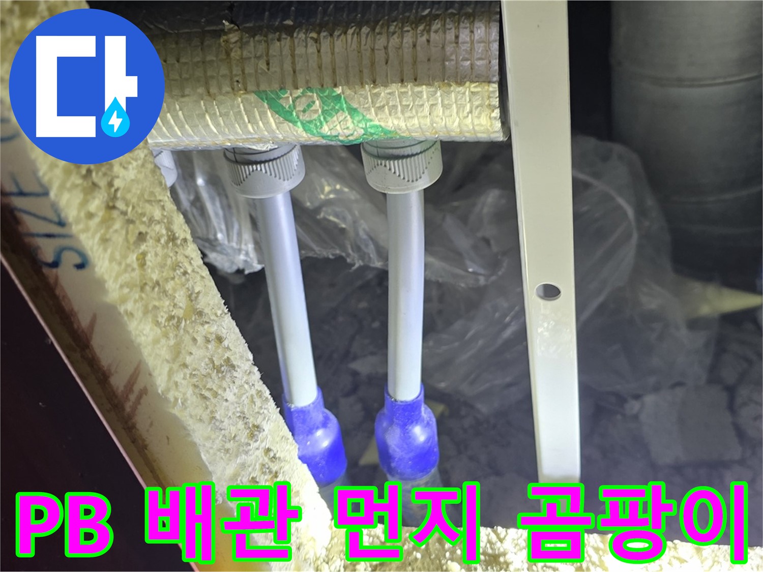 삼숭동 양주자이 누수 - PB 배관 연결 부속 주변 먼지 뭉침 및 곰팡이 흔적 초기 발견