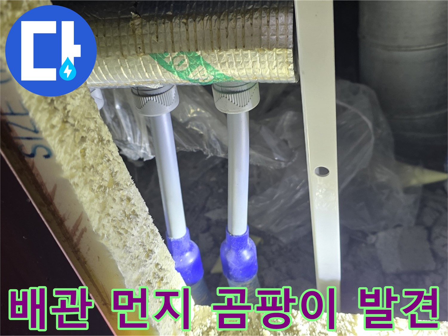 삼숭동 양주자이 누수 - 배관 연결 부위 주변 먼지 뭉침 및 곰팡이 흔적 초기 발견