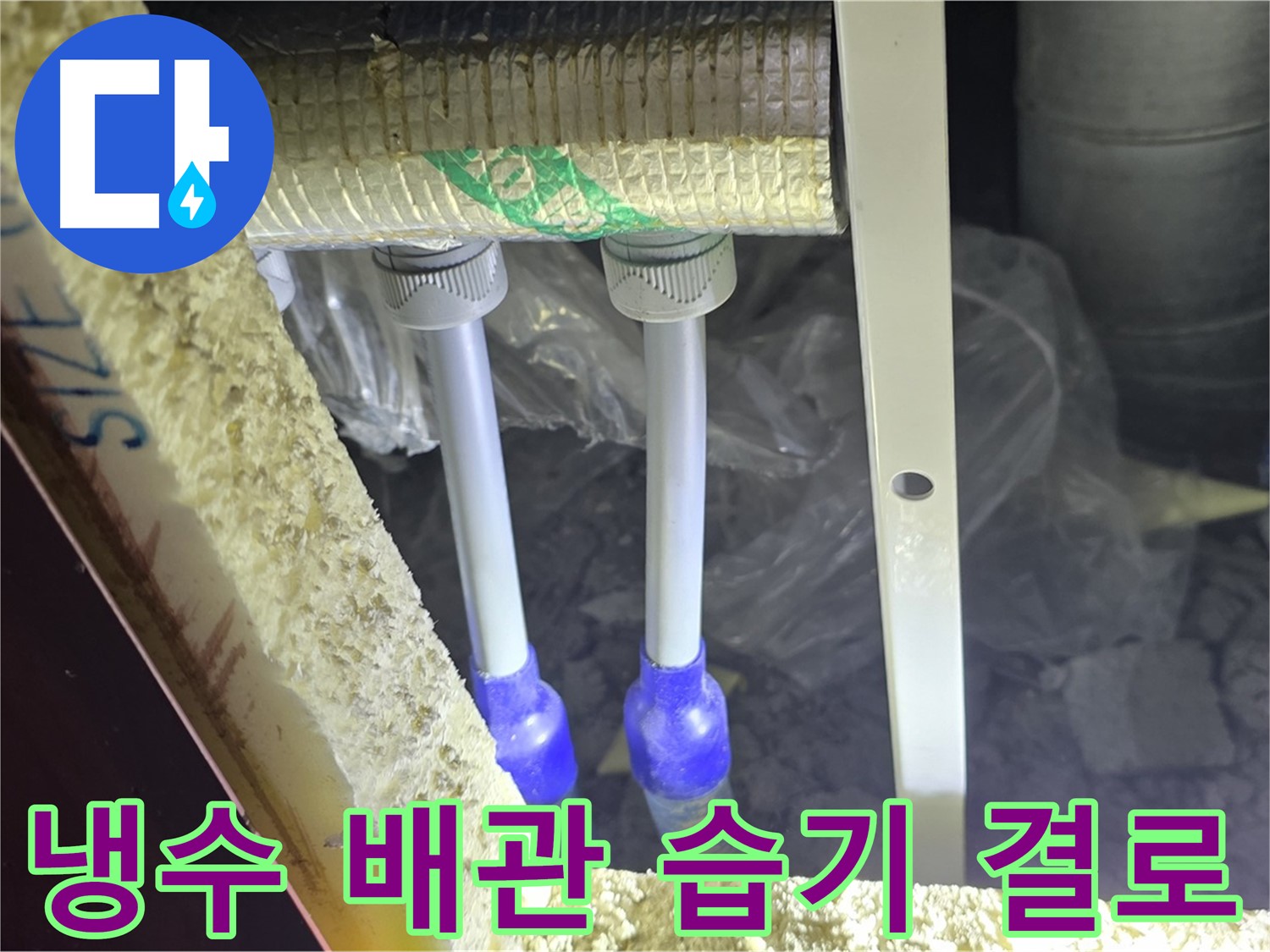 삼숭동 양주자이 아파트 누수 - 냉수 배관 연결 부위 주변 습기 및 결로 발생 여부 집중 확인