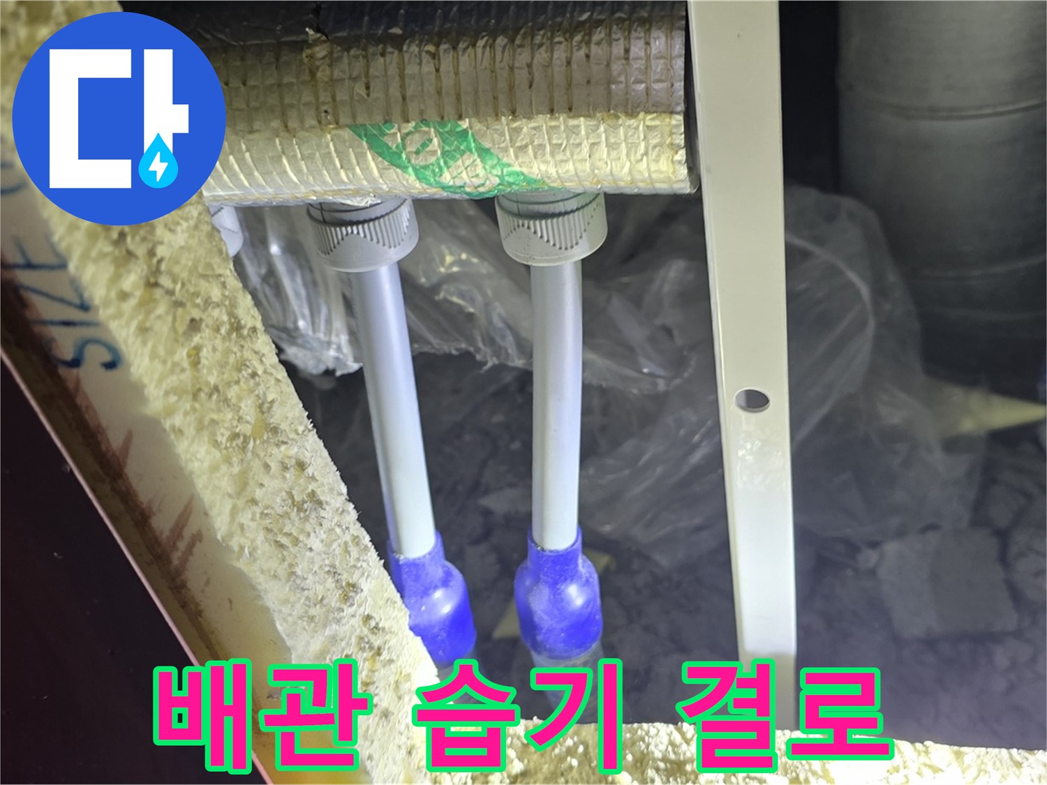 삼숭동 양주자이 아파트 누수 - 배관 연결 부속 주변 습기 및 결로 집중 검사