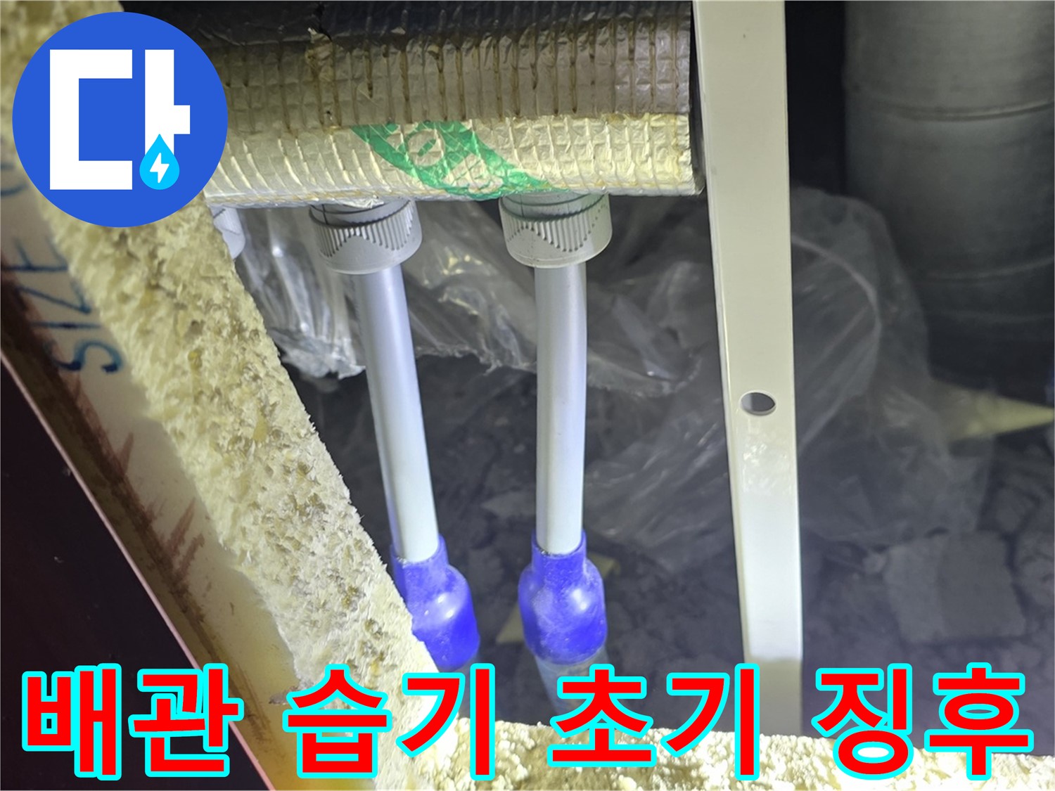 삼숭동 양주자이 아파트 누수 - 배관 연결부 주변 습기 감지 및 누수 발생 초기 징후 확인