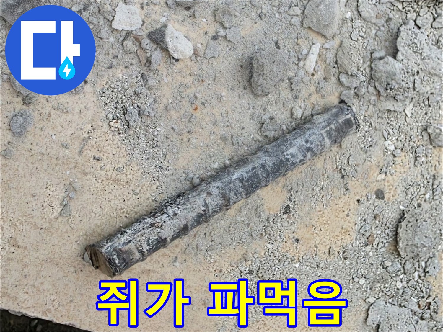 쇠 막대 옆 쥐 파먹은 고무 패킹 - 쥐 때문?