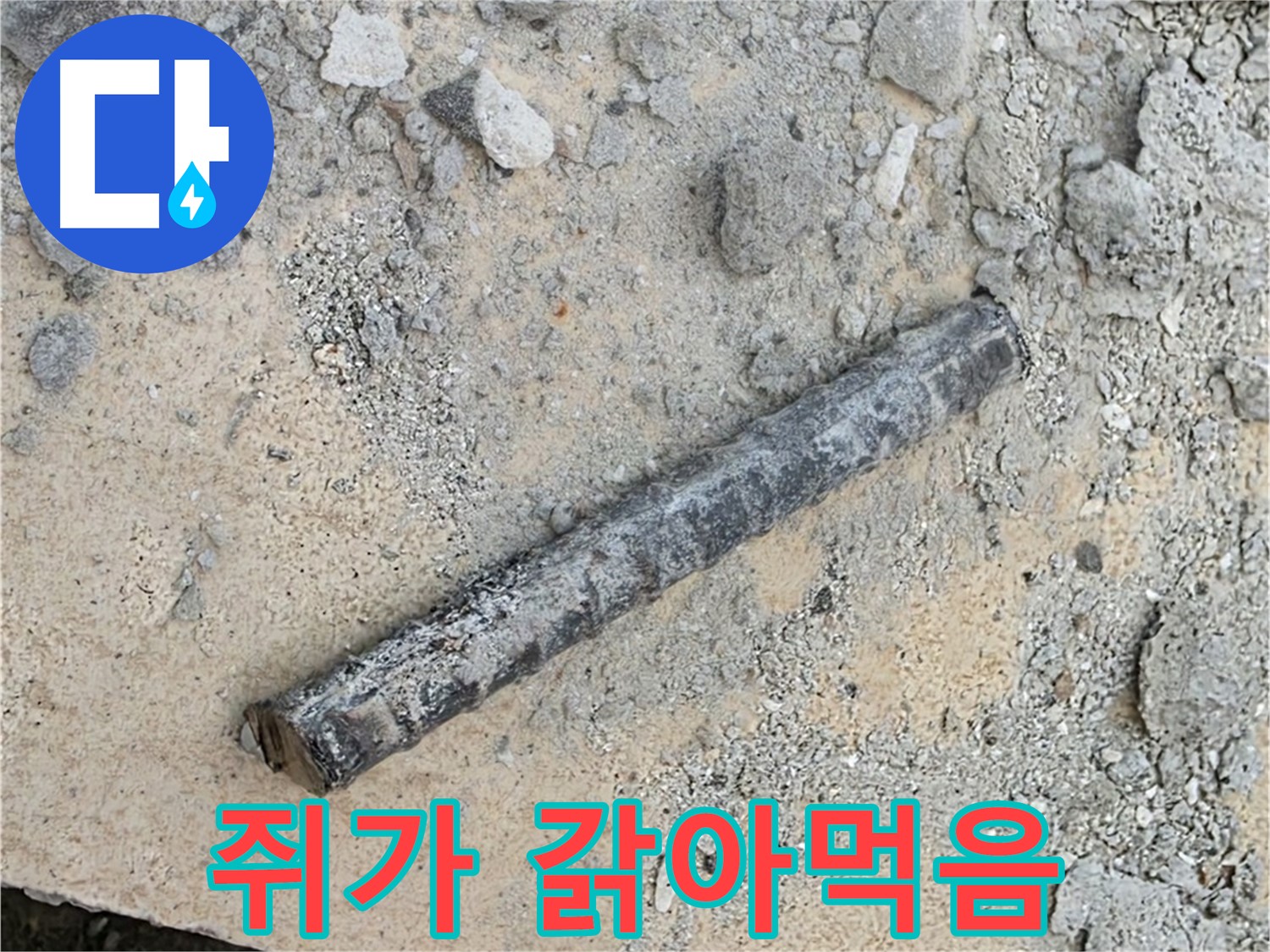쇠 막대와 갉아먹힌 호스 - 쥐 때문?