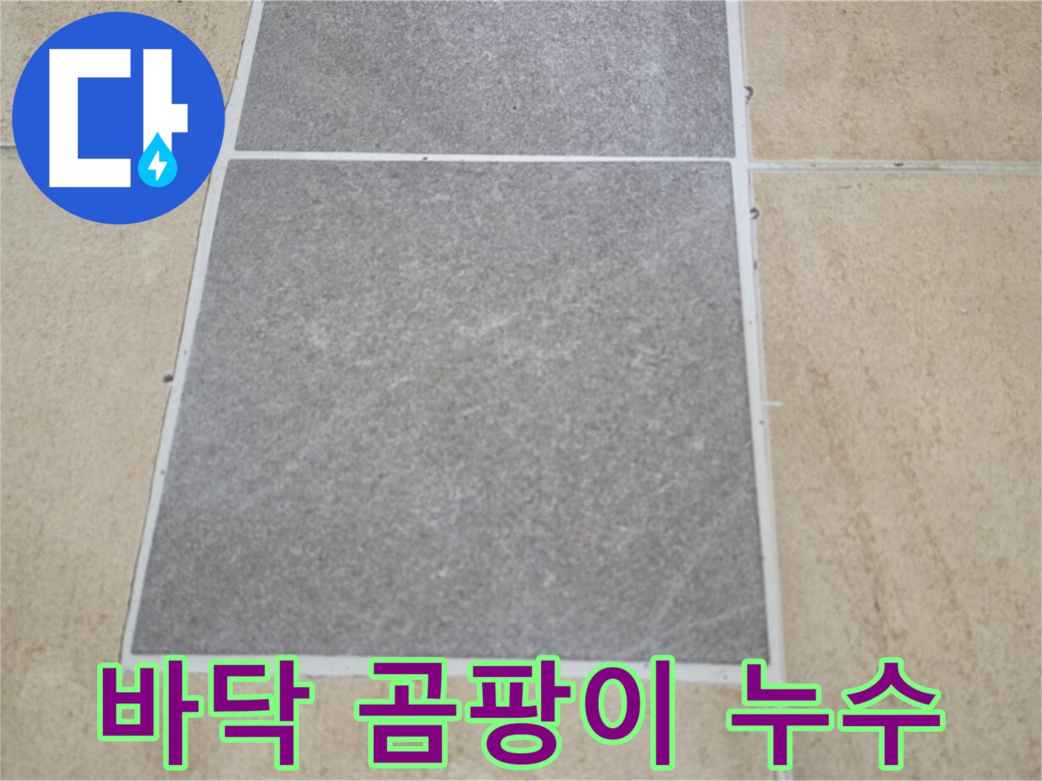 양주 삼숭동 아파트 - 다용도실 바닥 타일 곰팡이 발생 - 누수와의 관계를 분석하고 있습니다.