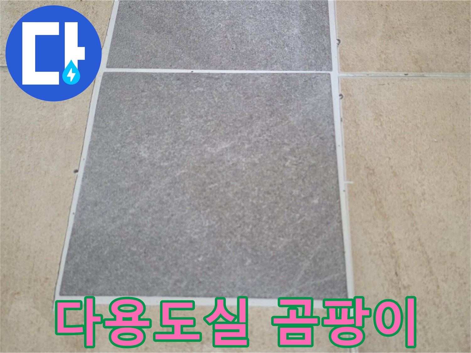 양주 삼숭동 아파트 - 다용도실 타일과 마루 연결 부위의 곰팡이 및 누수 여부를 점검하고 있습니다.