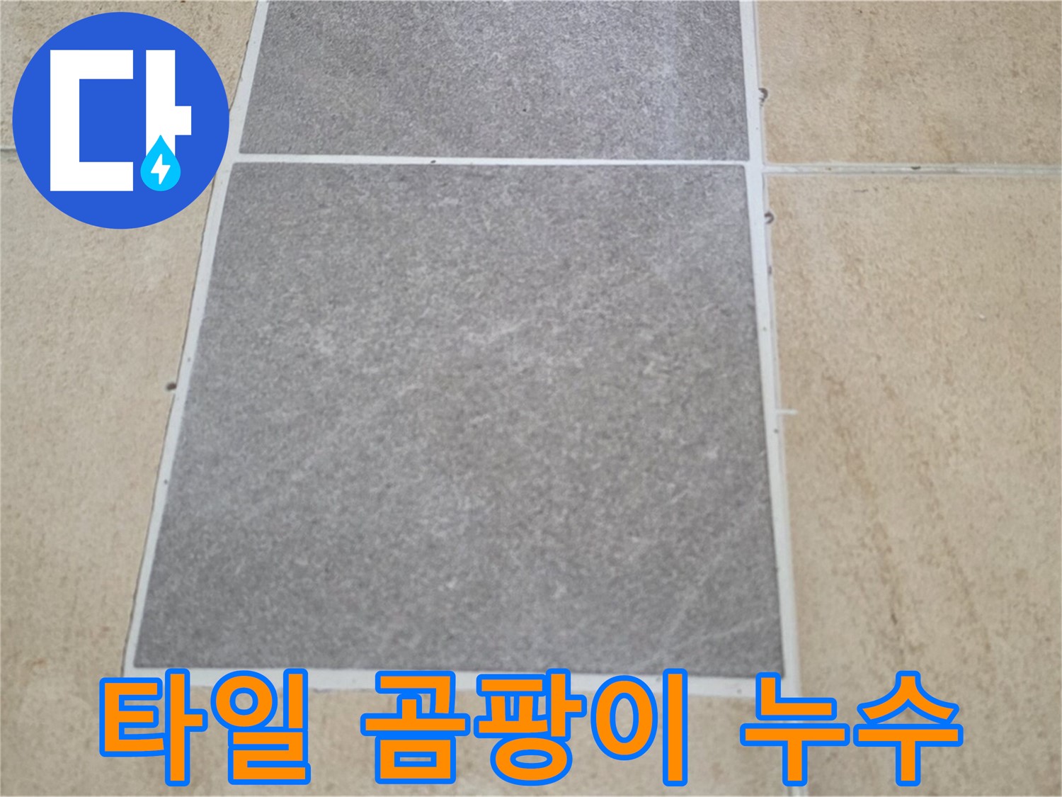양주 삼숭동 아파트 - 주방 타일 곰팡이 발생 - 누수와의 관계를 분석하고 있습니다.