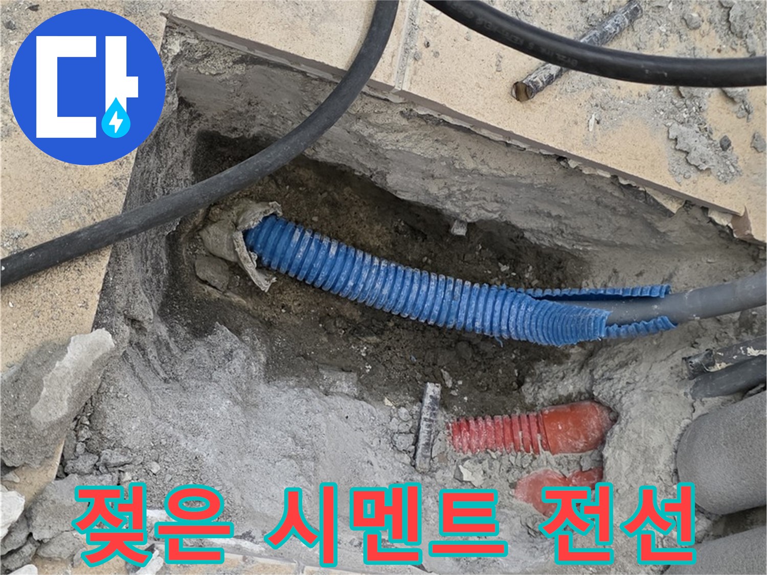 양주 삼숭동 자이아파트 누수 - 젖은 시멘트 바닥과 꼬불거리는 전선관