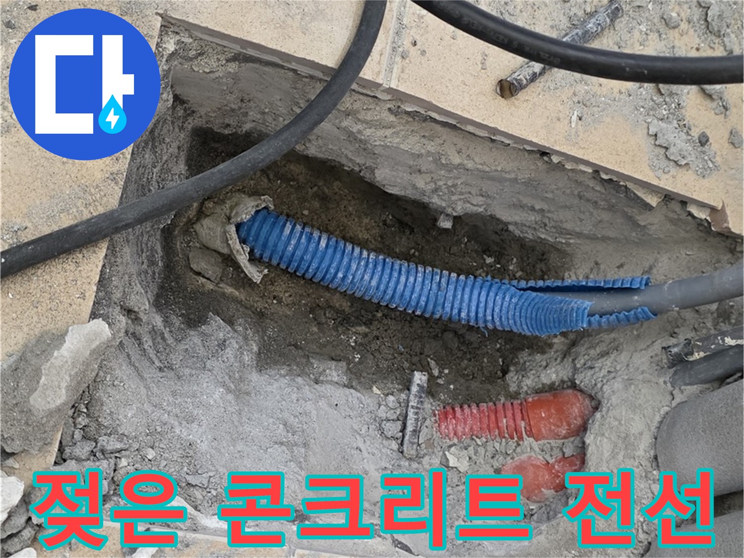 양주 삼숭동 자이아파트 누수 - 젖은 콘크리트와 꼬불거리는 파란 전선관