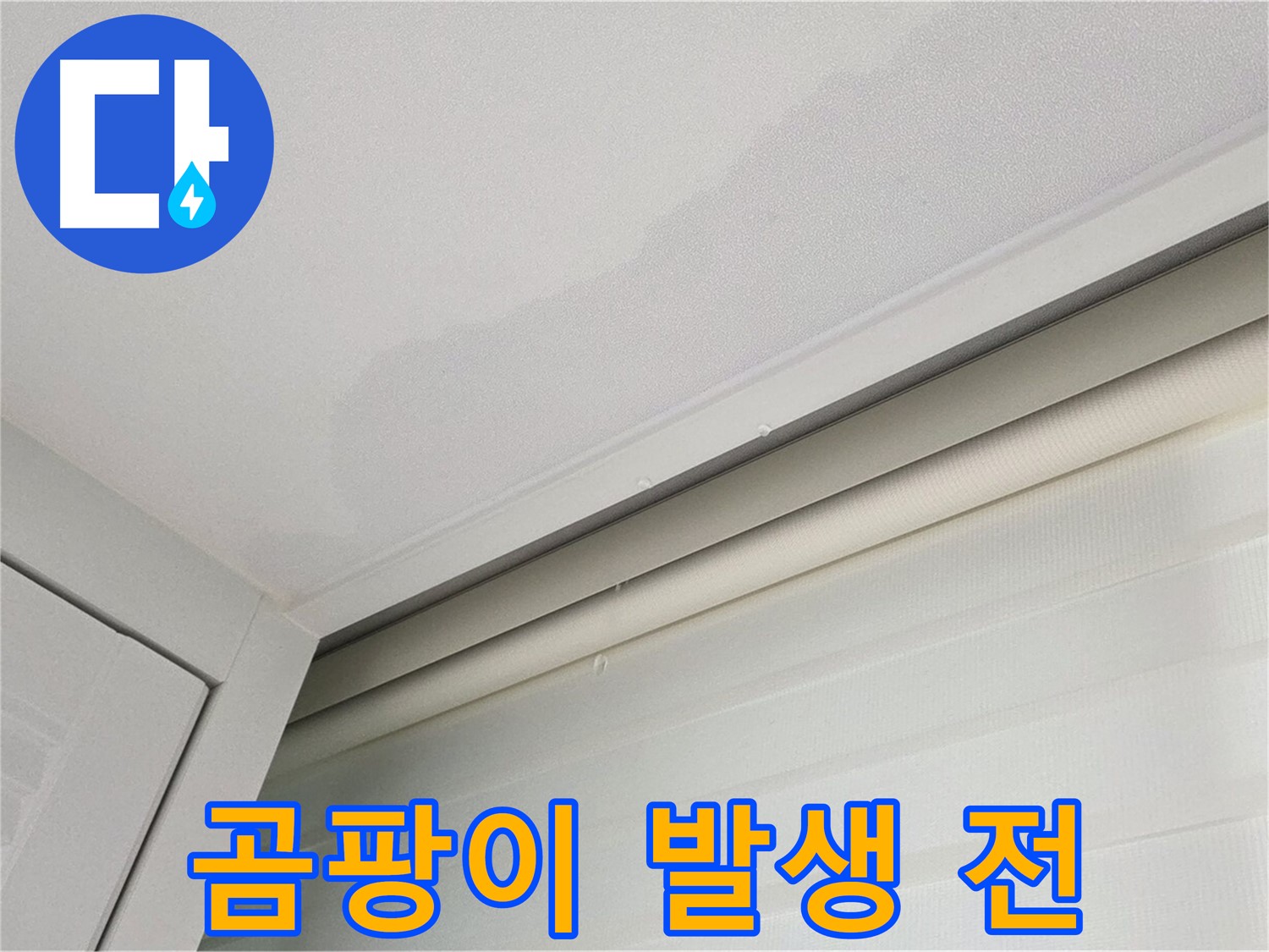 양주 삼숭동 자이아파트 천장 누수 - 곰팡이 발생 전 누수 흔적 발견