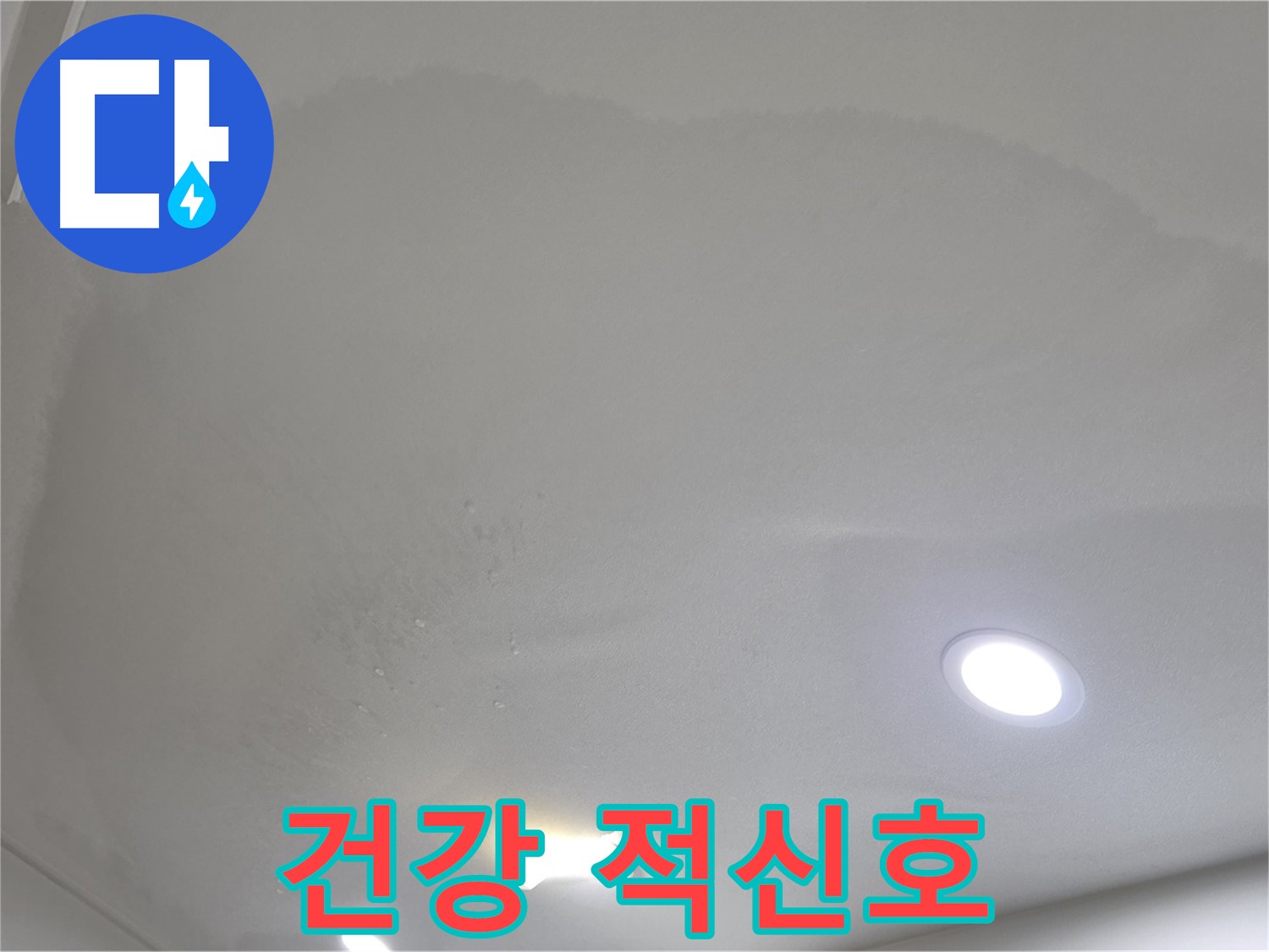 양주 아파트 누수 - 곰팡이 직전 천장, 건강 적신호