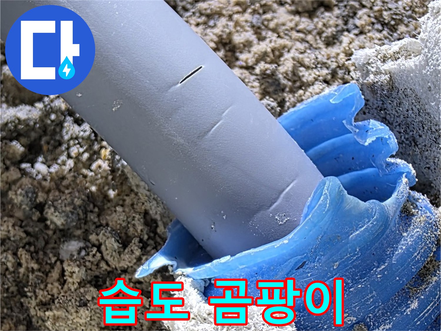 양주 자이아파트 누수 - 배관 주변 습도 및 곰팡이 상태를 확인하여 누수 여부를 판단하고 있습니다 - 정밀 탐지.